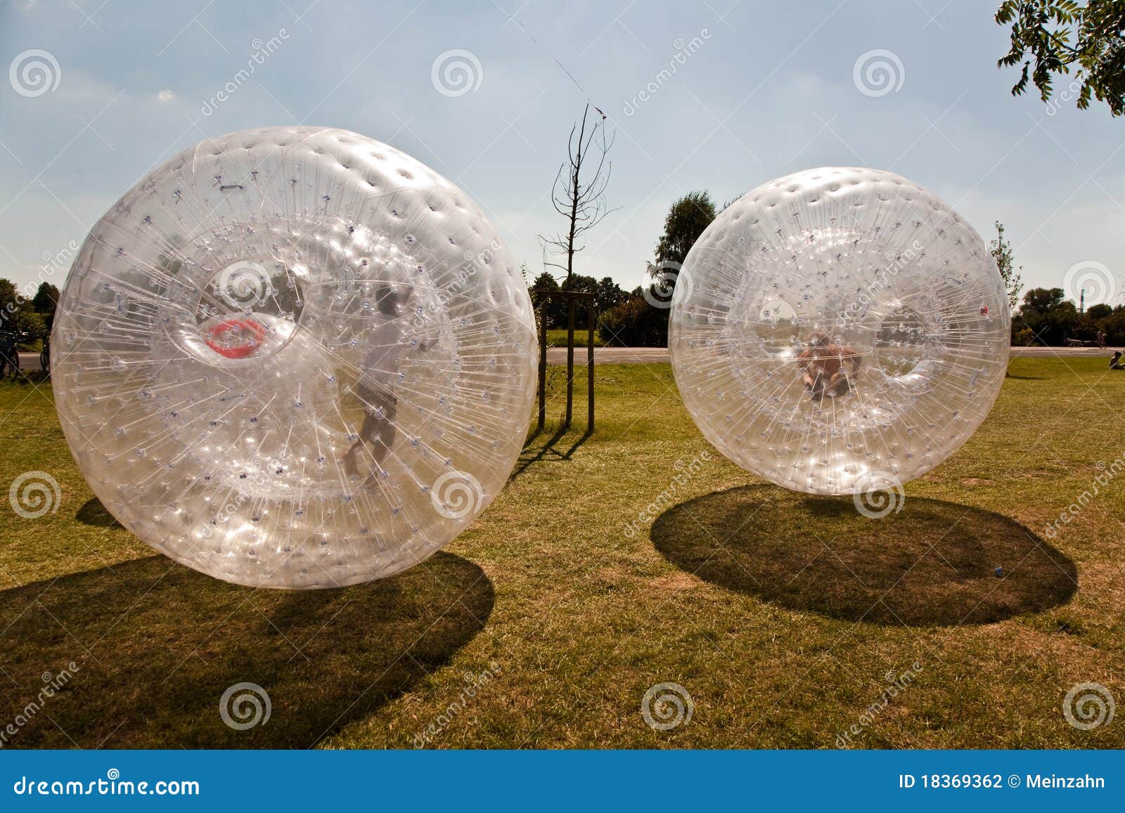 El niño lindo se divierte mucho en la bola de Zorbing. Los niños se divierten mucho en la bola de Zorbing