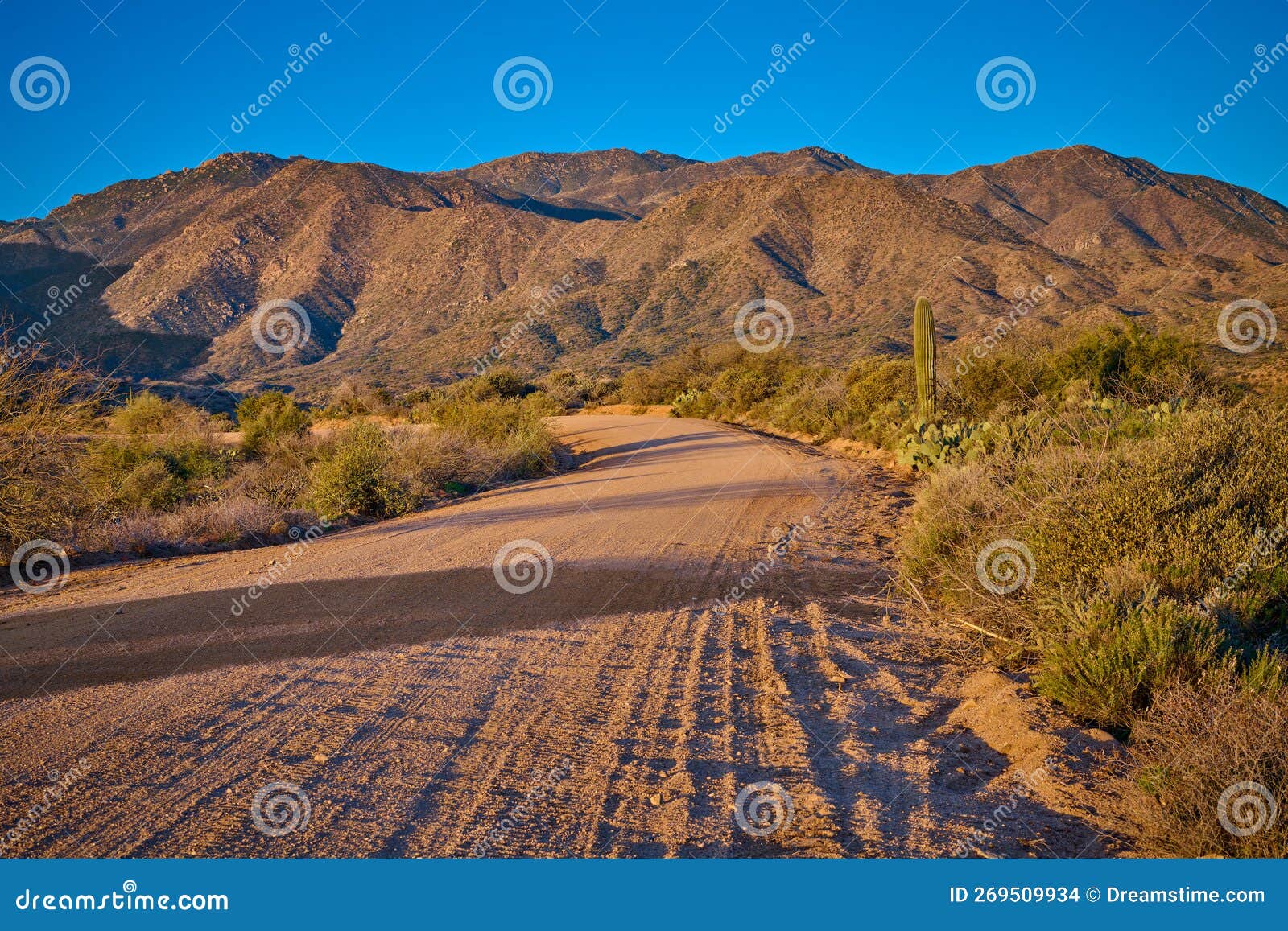 el oso road with warm morning light on the mountains in the background