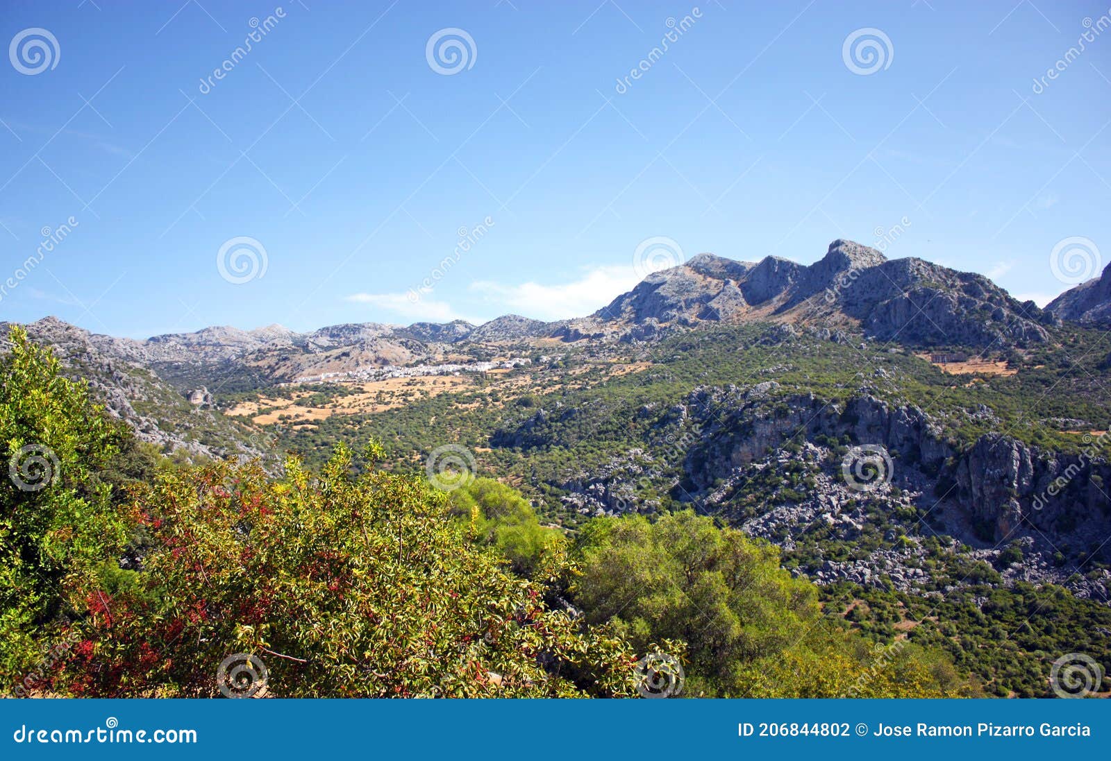 paisaje del parque natural sierra de grazalema con el pueblo de benaocaz al fondo, provincia de cÃÂ¡diz andalucÃÂ­a espaÃÂ±a