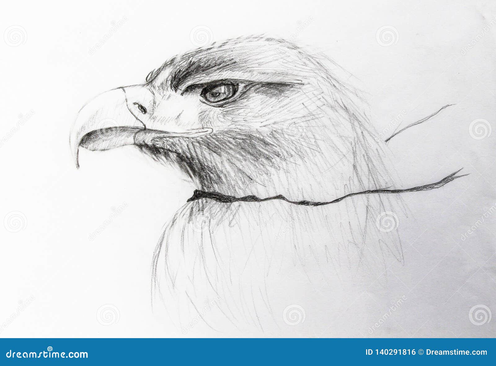 El Perfil Del águila Se Dibuja En Lápiz Stock de ilustración - Ilustración de sostenido, plomo: 140291816 El Perfil Del águila Se Dibuja En Lápiz Stock de ilustración - Ilustración de sostenido, plomo: 140291816