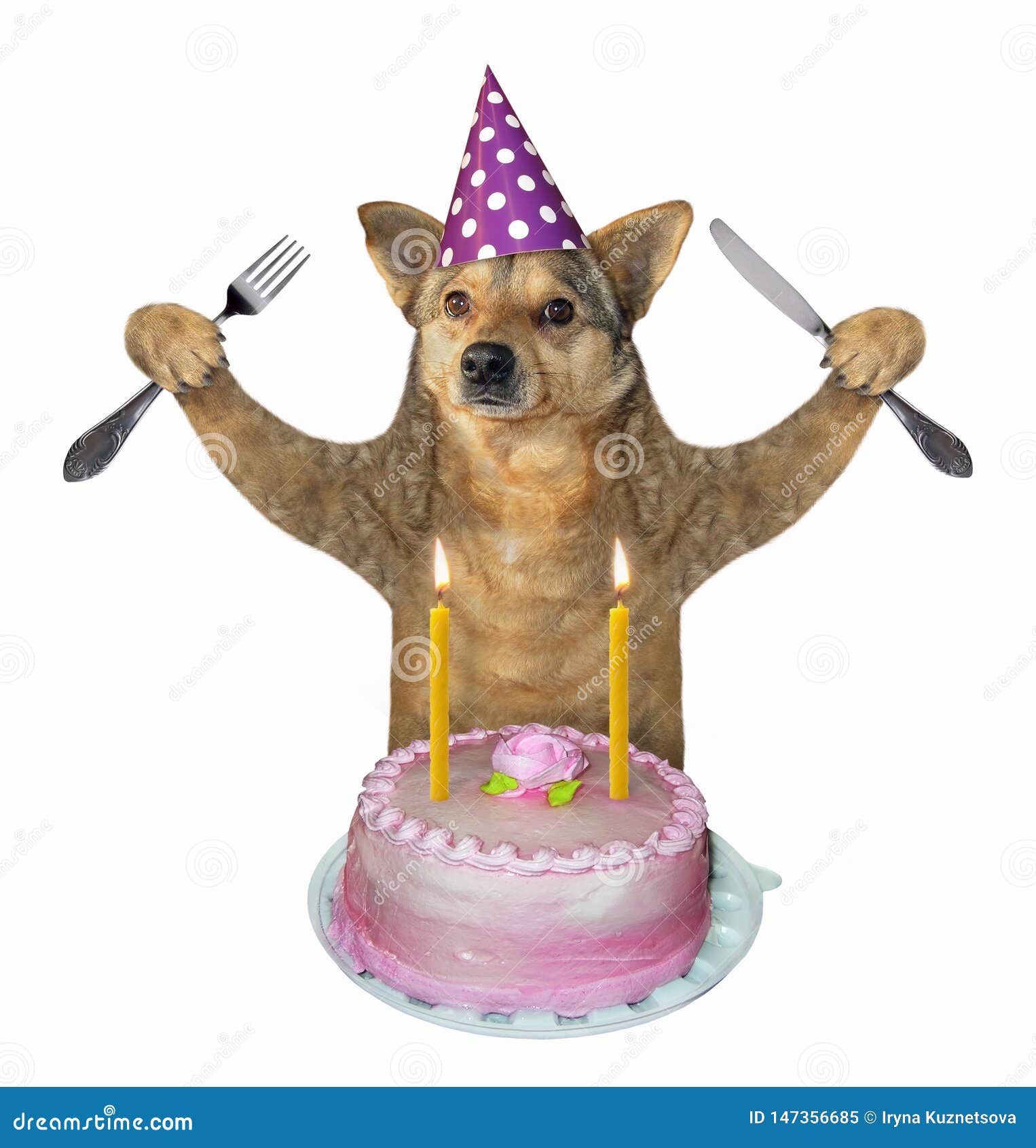 El Perro Come La Torta De Cumpleaños 2 Imagen de archivo - Imagen de  mascota, rosa: 147356685