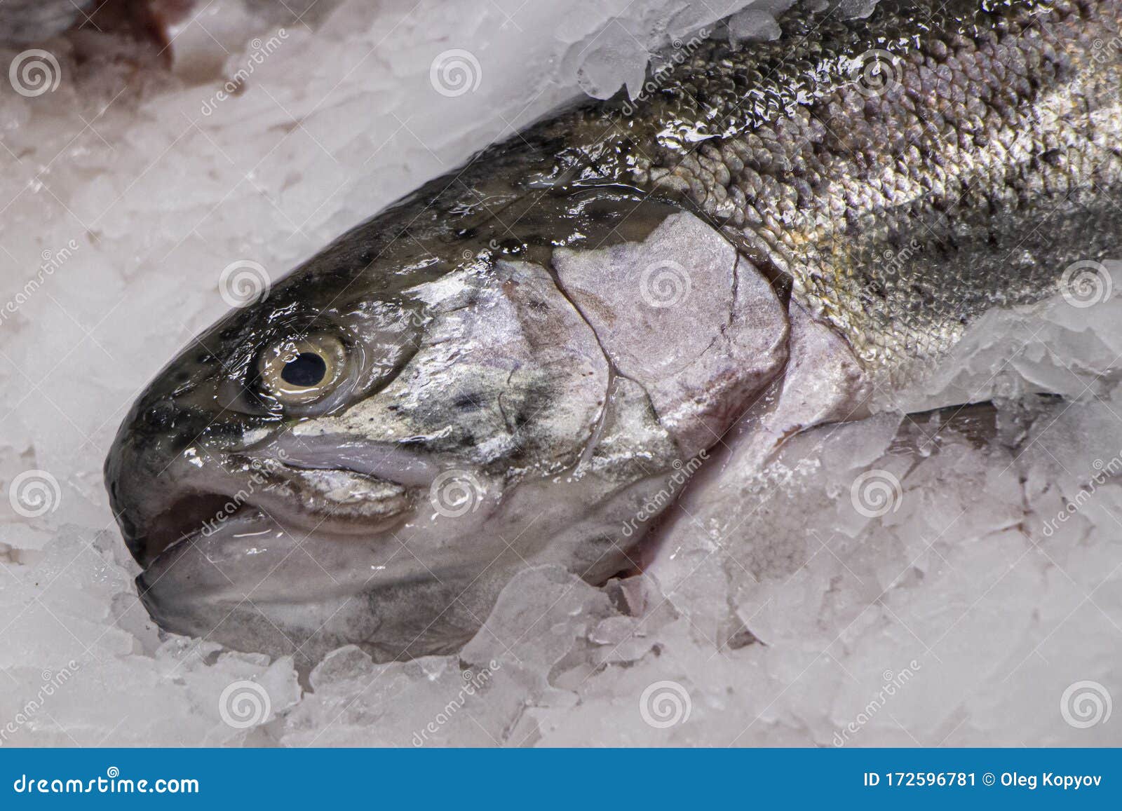 El Pescado Congelado En Hielo Se Vende En El Mercado Imagen de