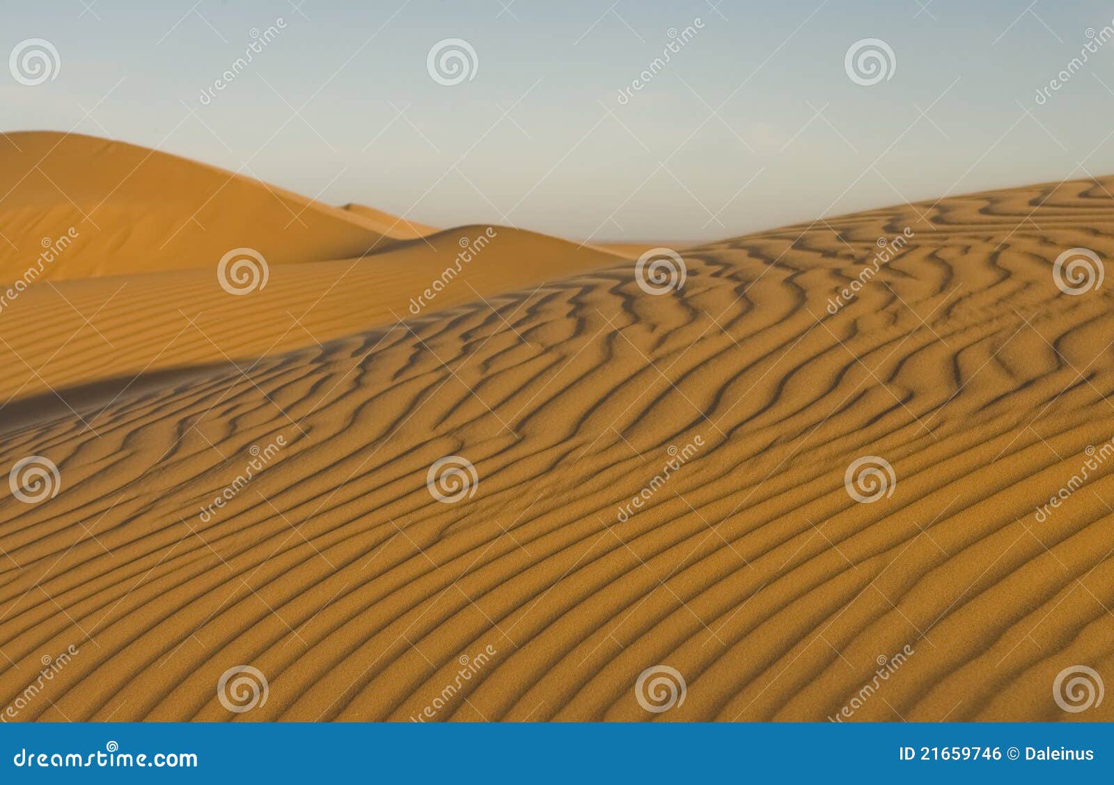 el pinacate dunes in the sonoran desert