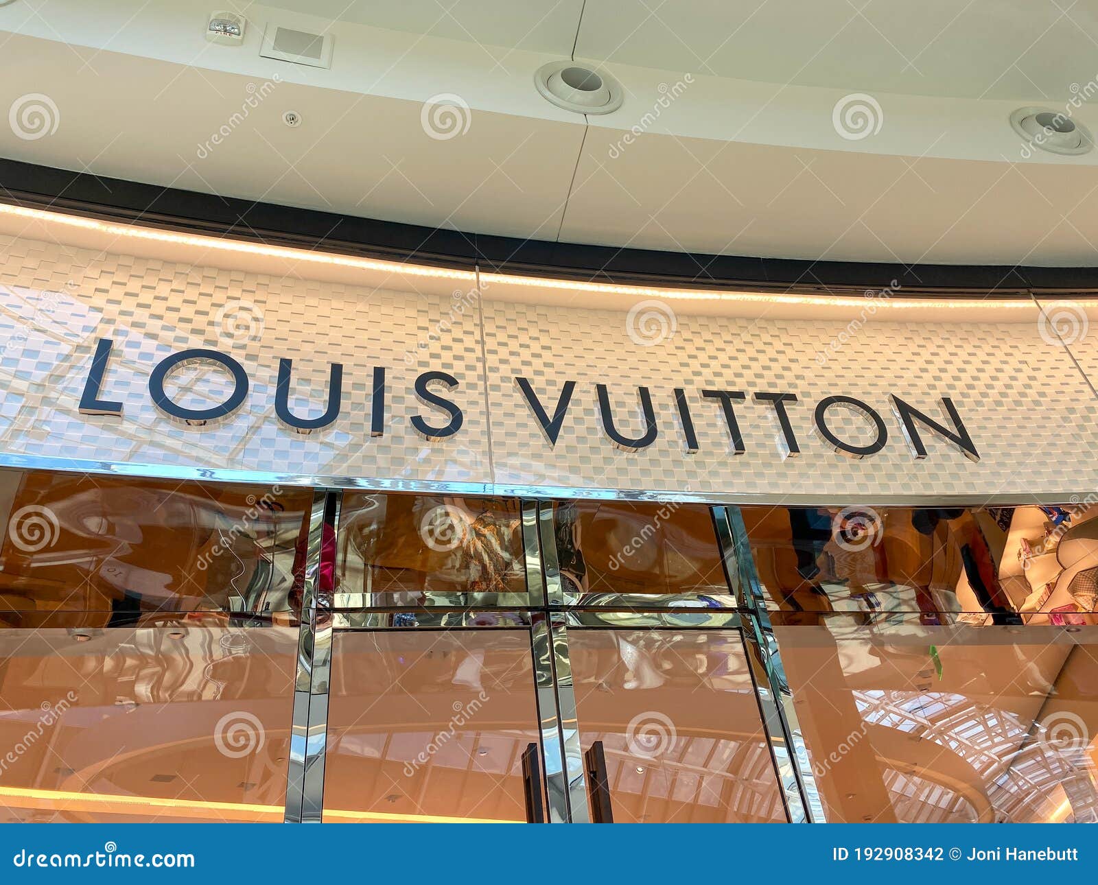 El Signo Exterior De La Tienda Boutique Louis Vuitton En El Centro  Comercial Millenia Mall En Orlando Florida Fotografía editorial - Imagen de  interior, exterior: 192908342