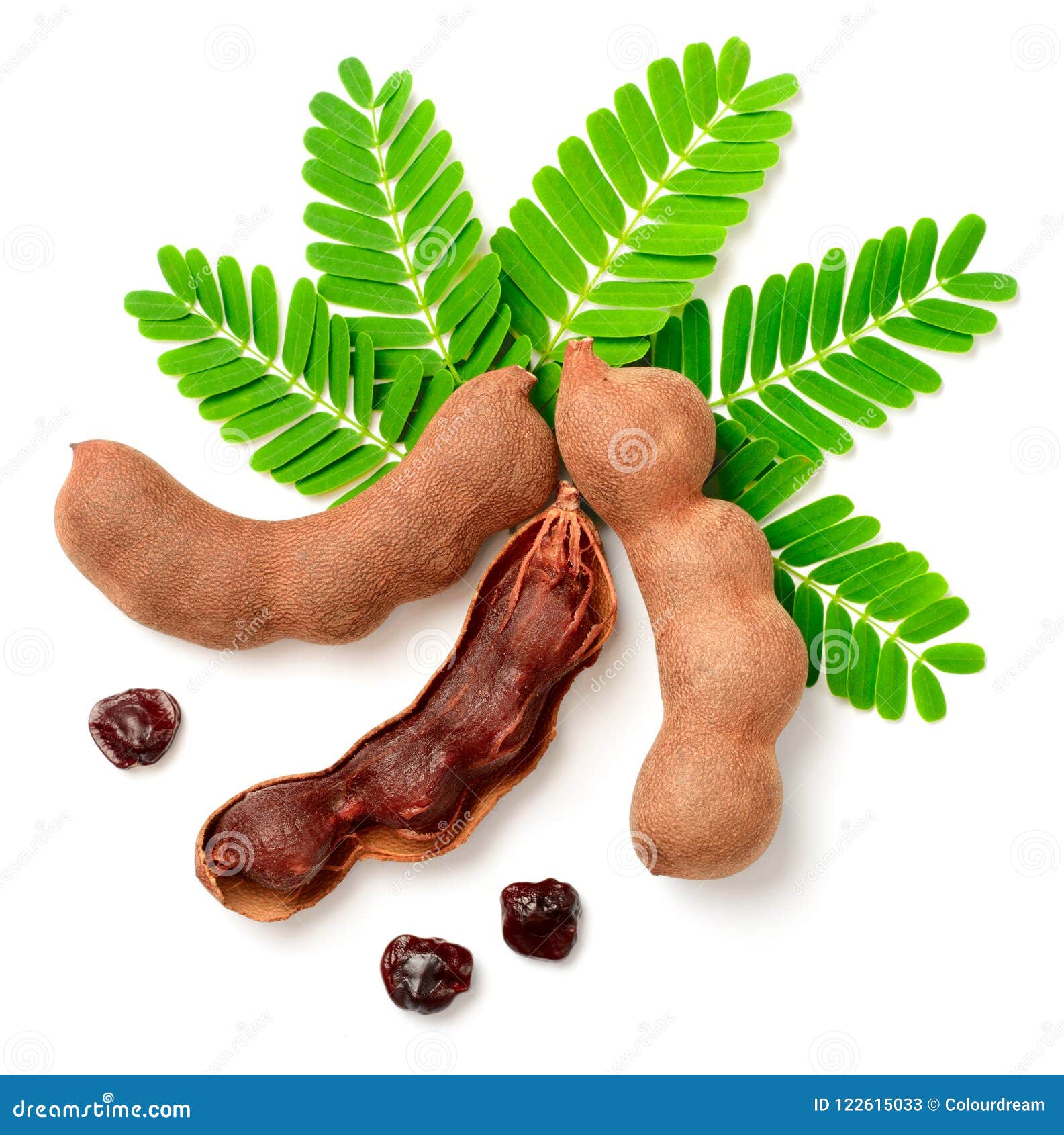El Tamarindo Fresco Da Fruto Y Las Hojas Aisladas En El Fondo Blanco Imagen De Archivo Imagen De Dulce Crudo El Tamarindo Fresco Da Fruto Y Las Hojas Aisladas En El Fondo Blanco Imagen De Archivo Imagen De Dulce Crudo