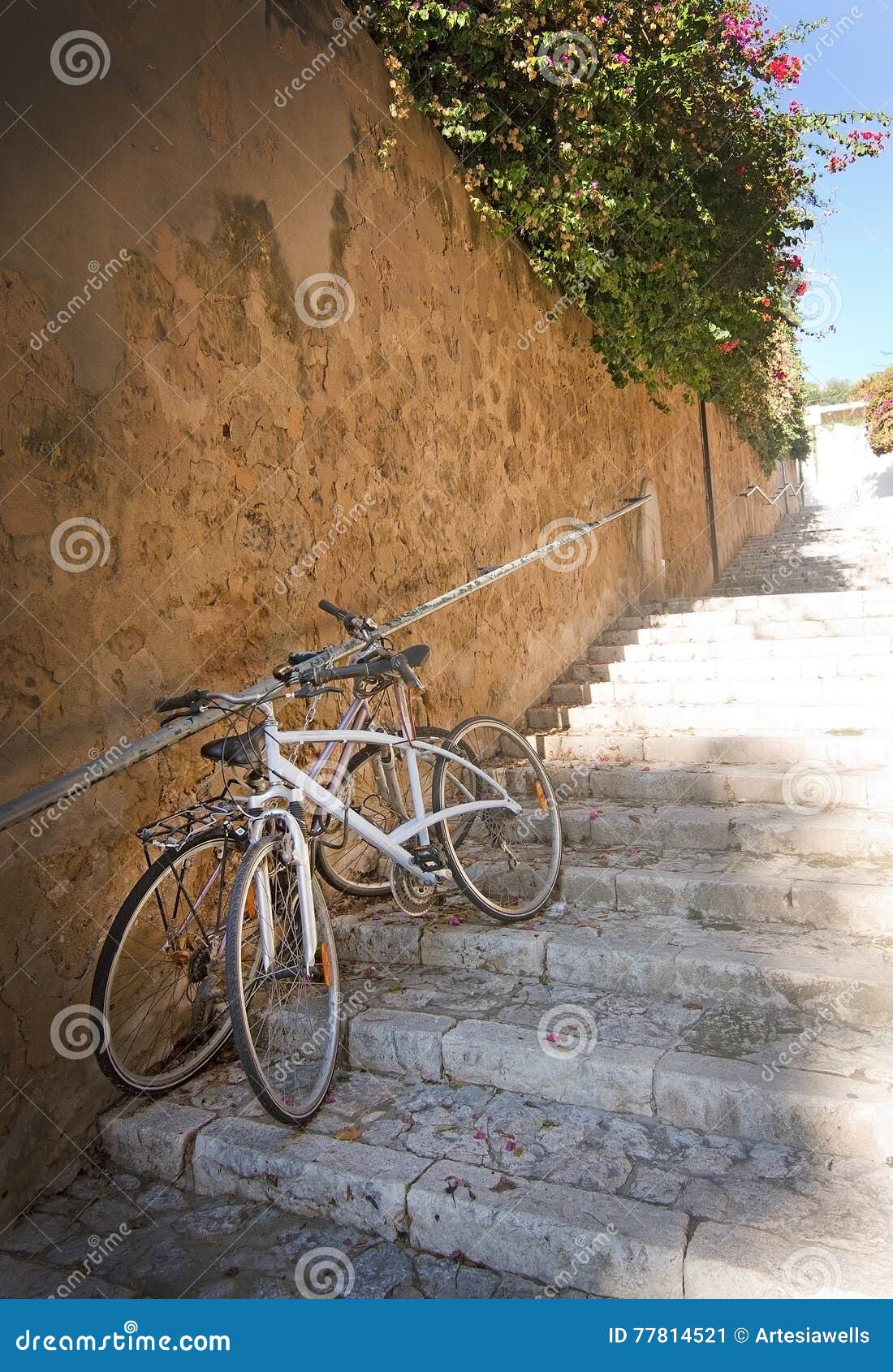 el terreno staircase