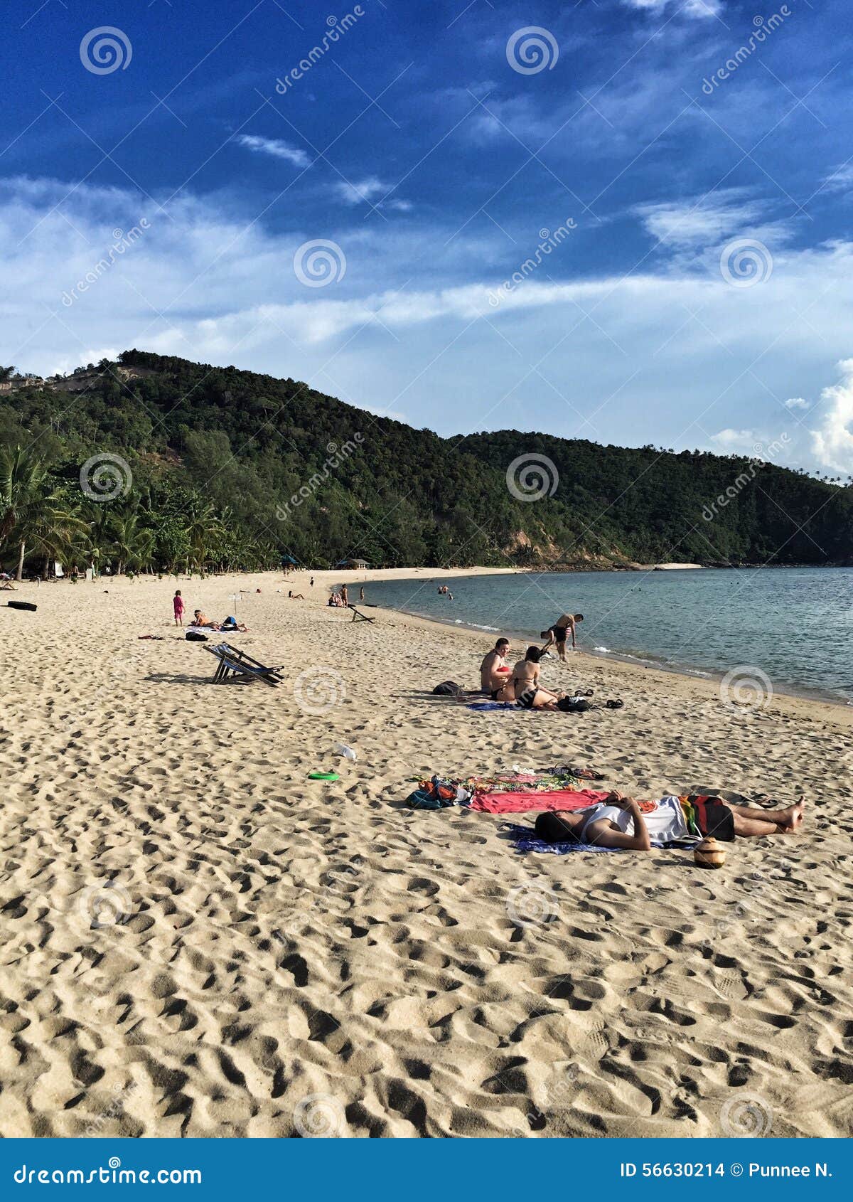El Tomar El Sol En La Playa Imagen de archivo editorial - Imagen de