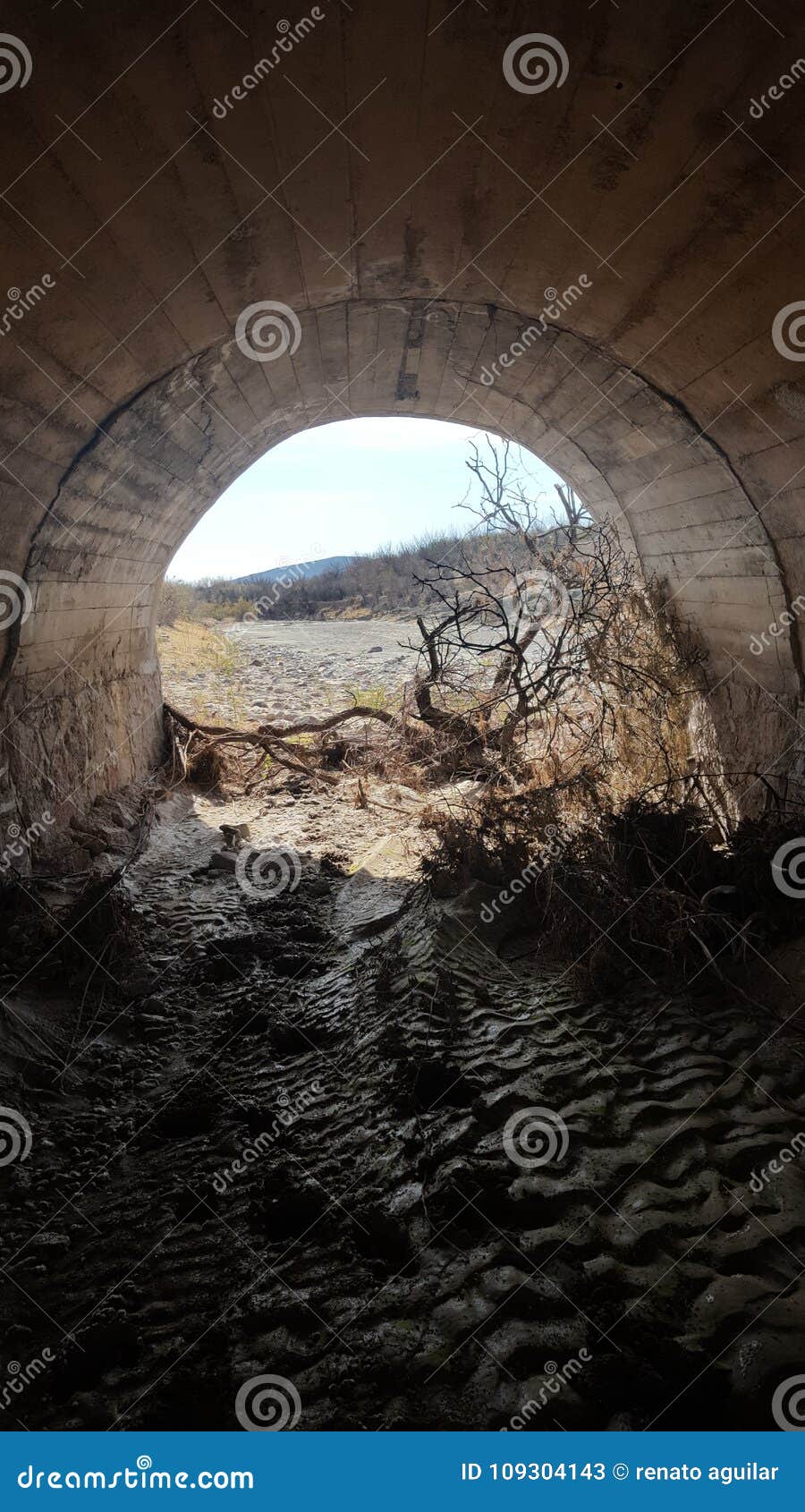 el tunel de la vision