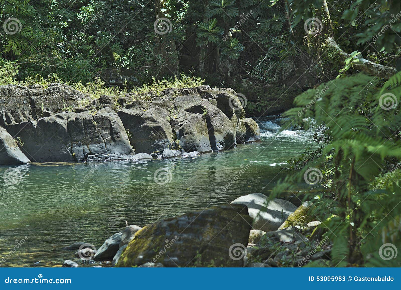 el yunque creeks, puerto rico.