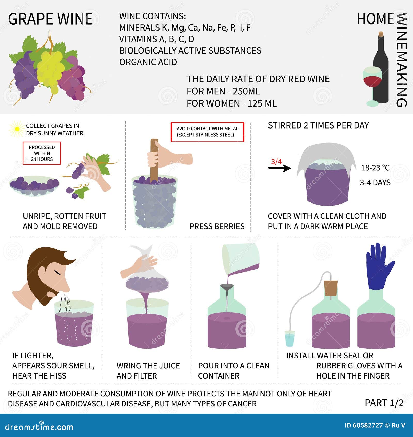 Ventilar Realmente Esperar Elaboración De Vino Casera Vino De Las Uvas Infografía Stock de ilustración  - Ilustración de etapa, paso: 60582727