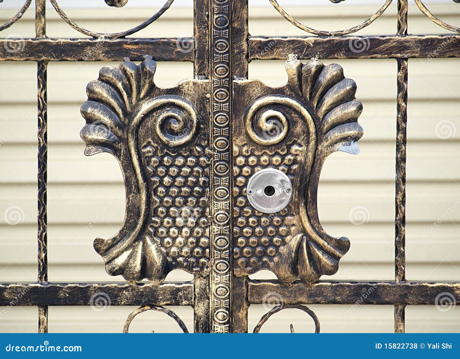 Elaborate Bronze Gate stock photo. Image of pattern, entrance 15822738