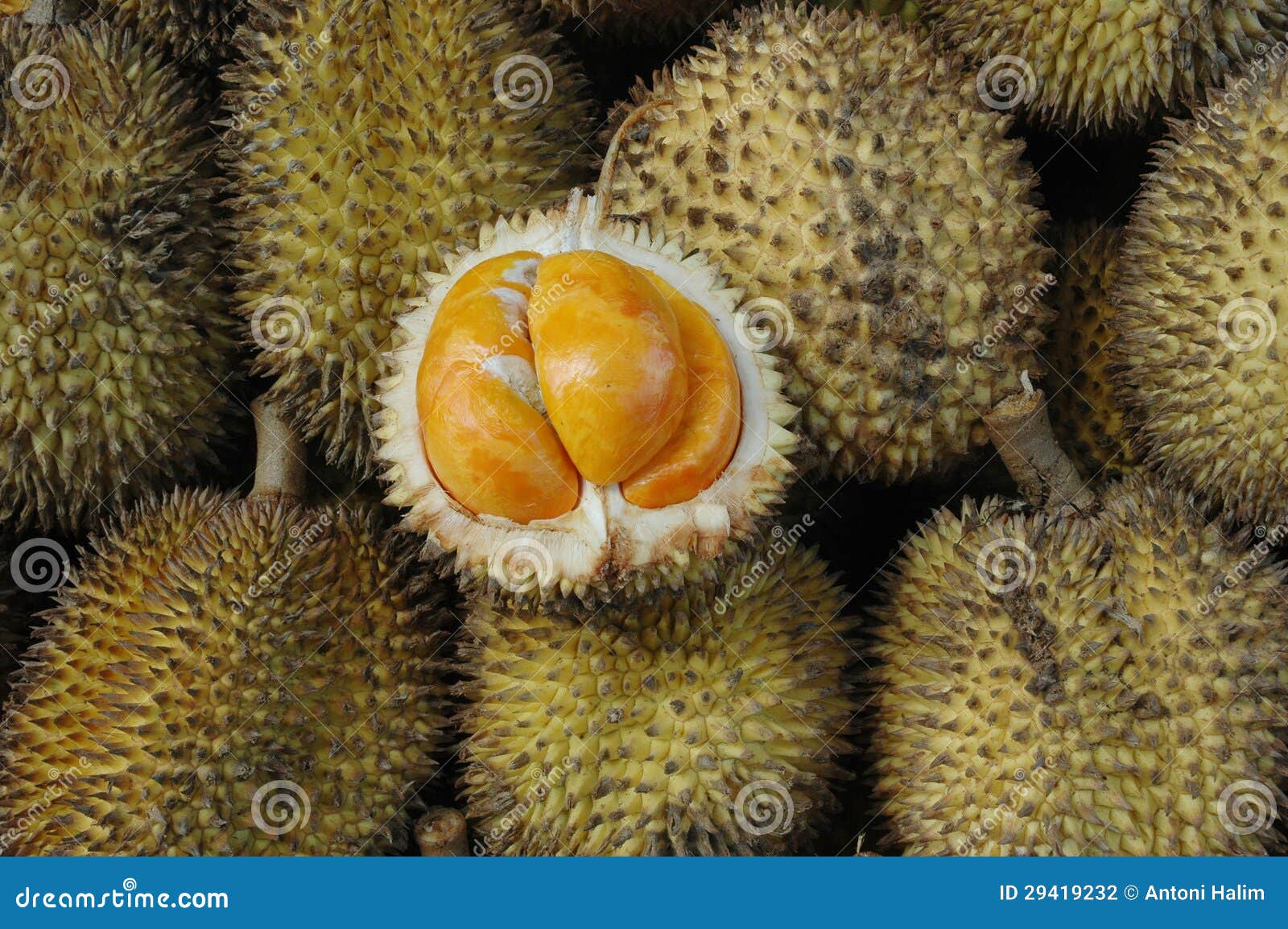 印度尼西亚等热带国家的典型水果拉姆布坦 库存图片. 图片 包括有 鸡尾酒, 背包, 庭院, 食物, 敌意 - 240738453