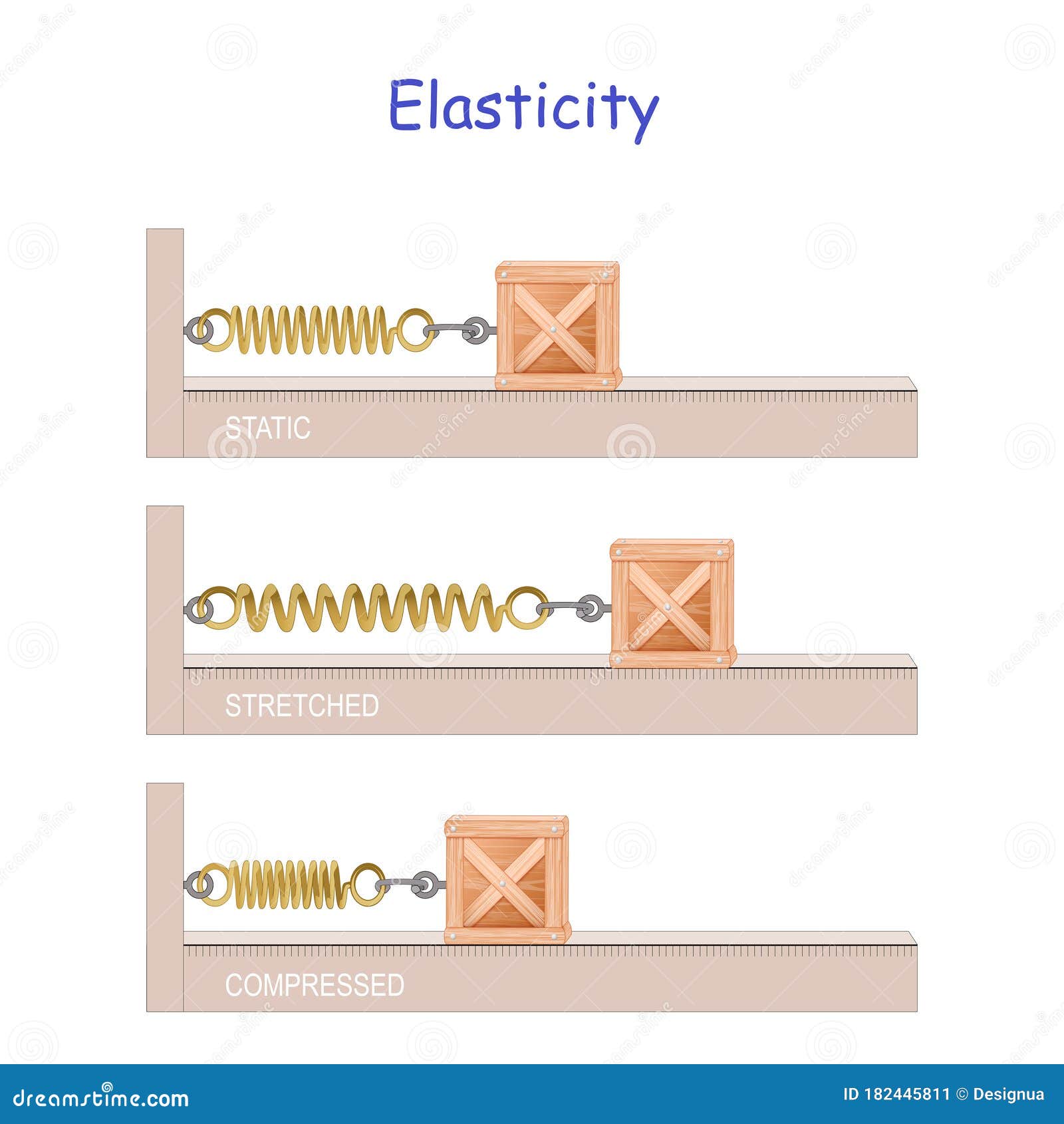 Energy elastic potential Elastic Potential