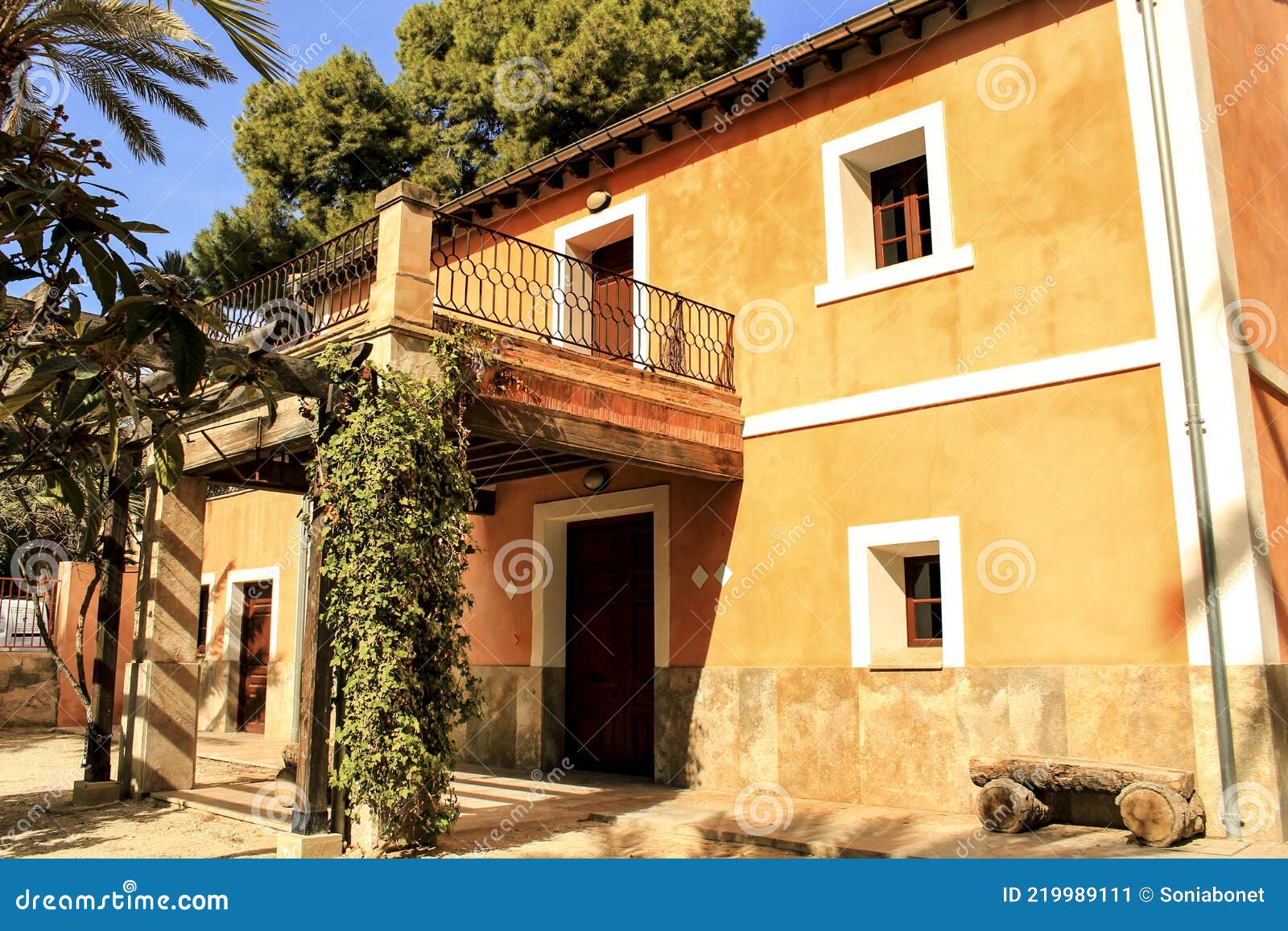 typical and colorful house in a palm orchard in elche, spain