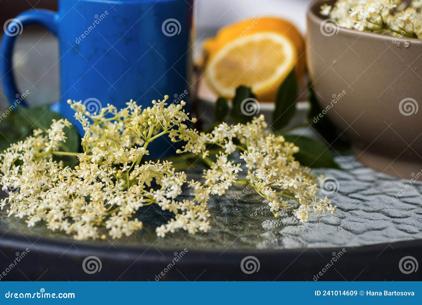Elderberry Flower, Cup and Bowl, Lemon on Table Stock Image Image of