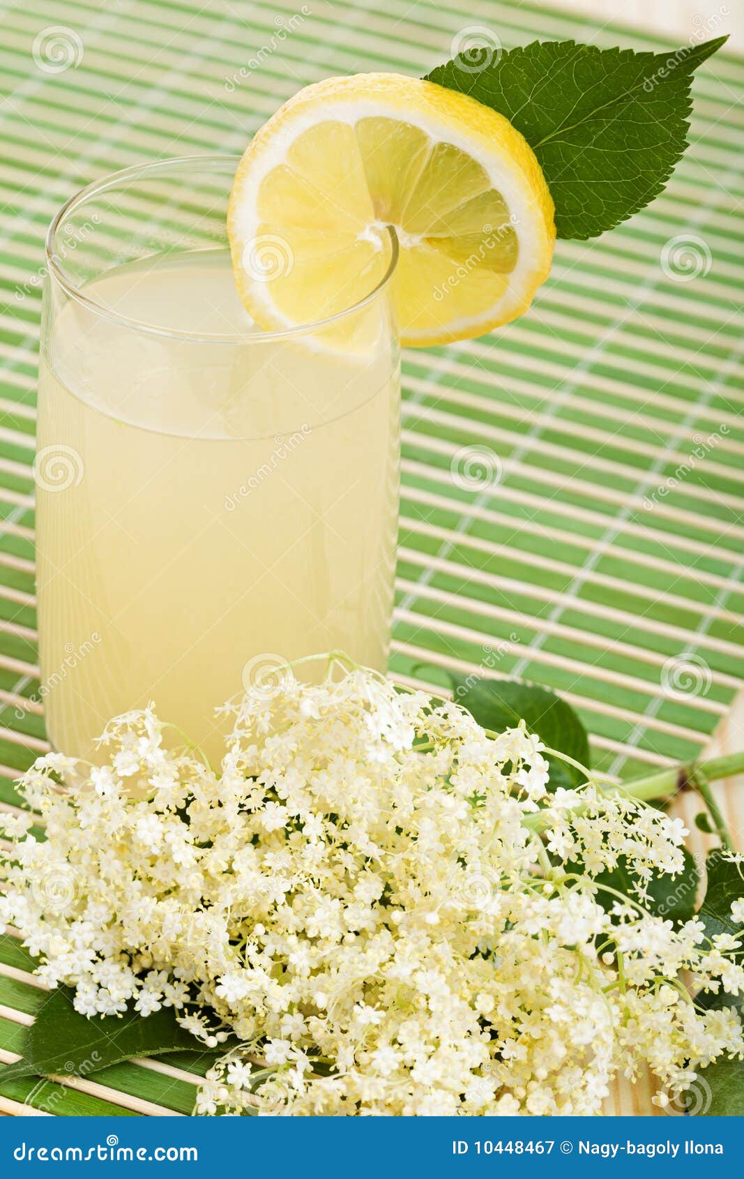 Elderberry Flower Flavored Summer Refreshment Stock Image Image of