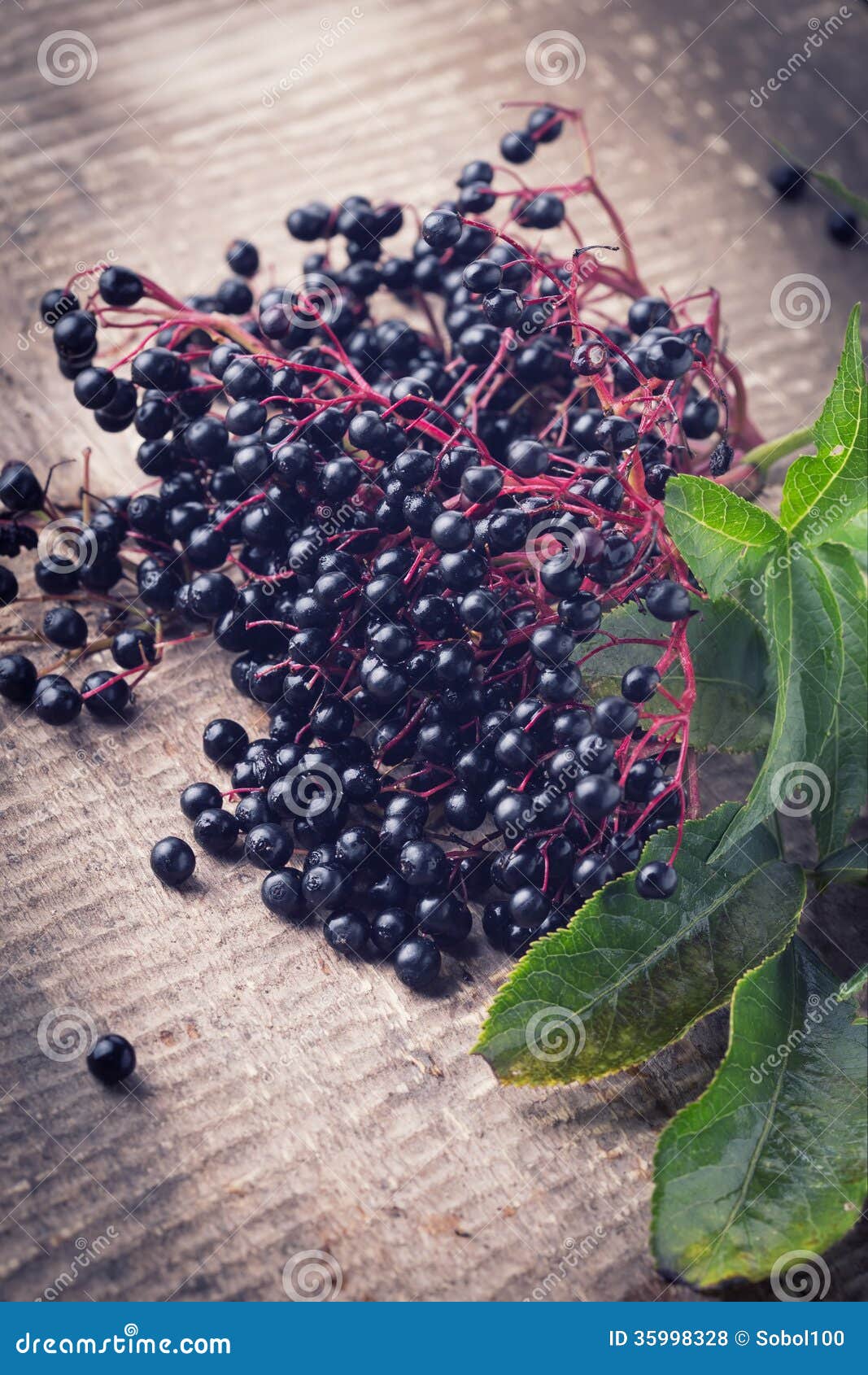 Elderberry on Wooden Background Stock Photo Image of berry, bunch