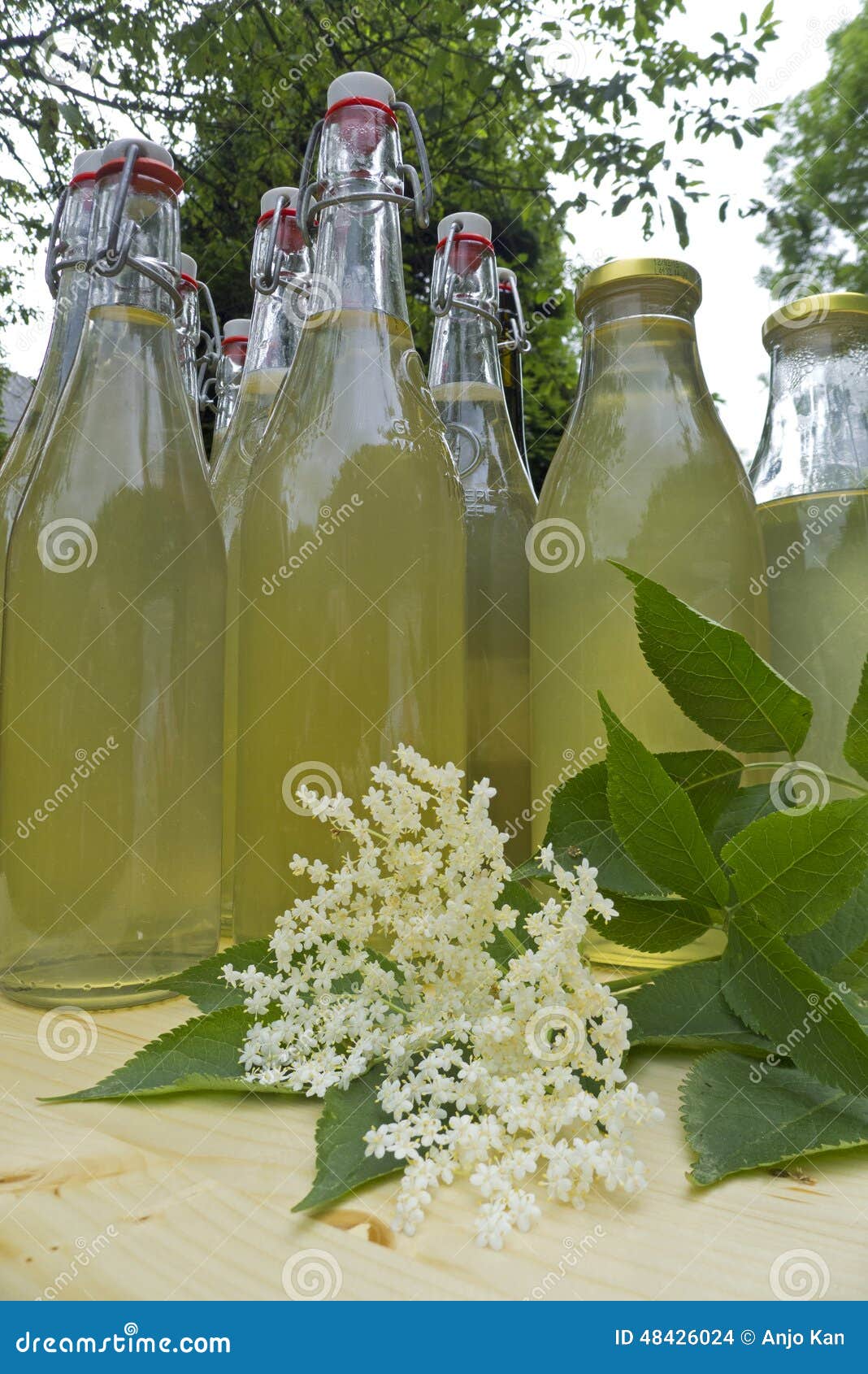 Elderflower flower syrup stock photo. Image of healthy 48426024