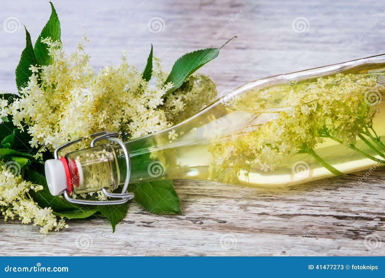 Elderflower Juice, Elderflower Champagne Stock Image Image of