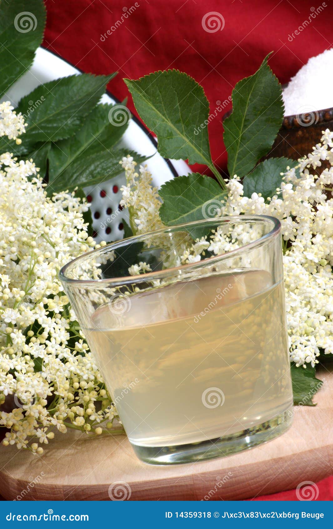 Elderflower Juice in a Glass Stock Photo Image of refreshment