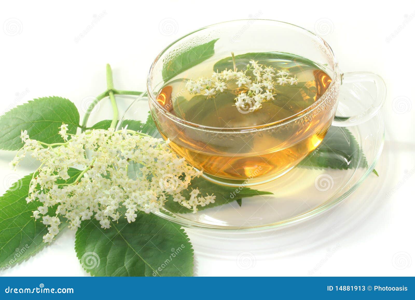Elderflower tea stock image. Image of flower, detoxification 14881913