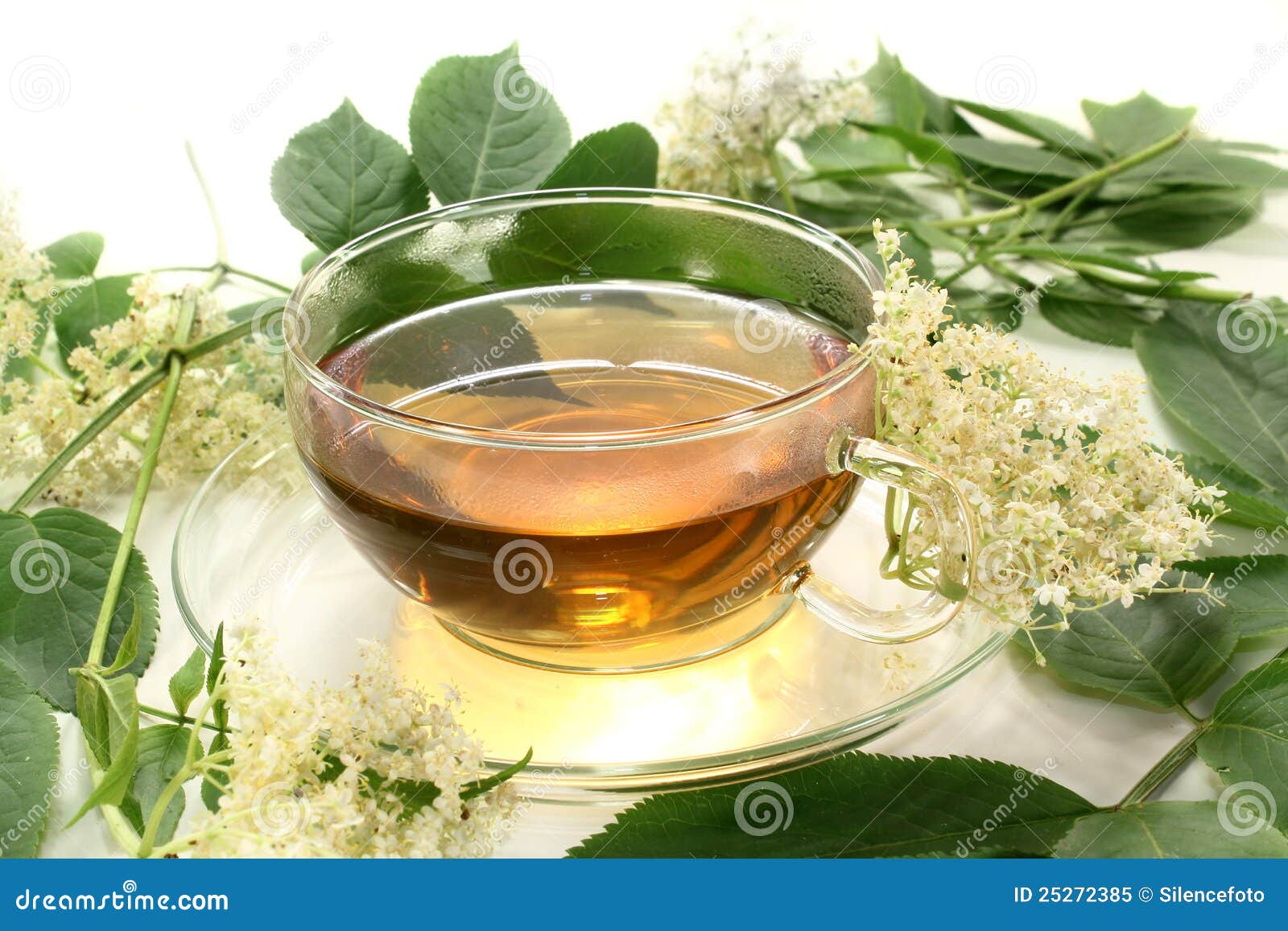 elderflower tea