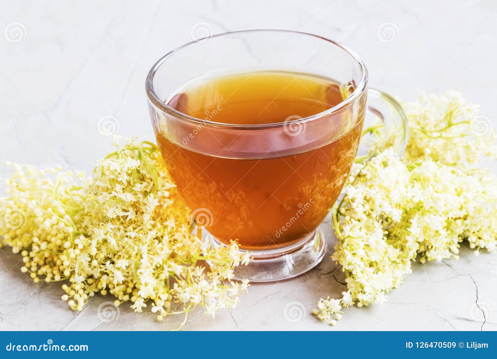 Elderflower tea stock image. Image of elderberry, leaf 126470509