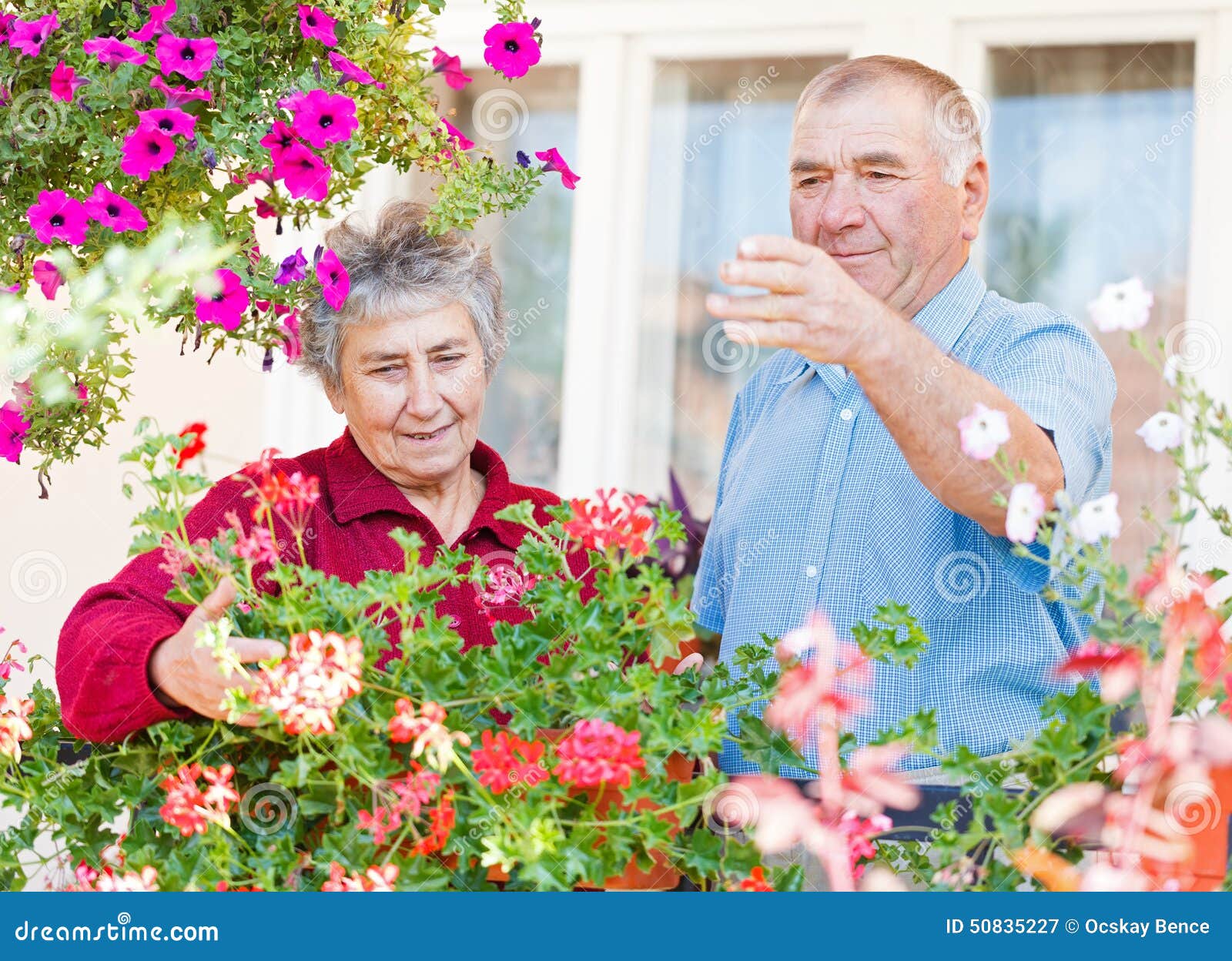 Elderly couple stock image. Image of leisure, couple - 50835227