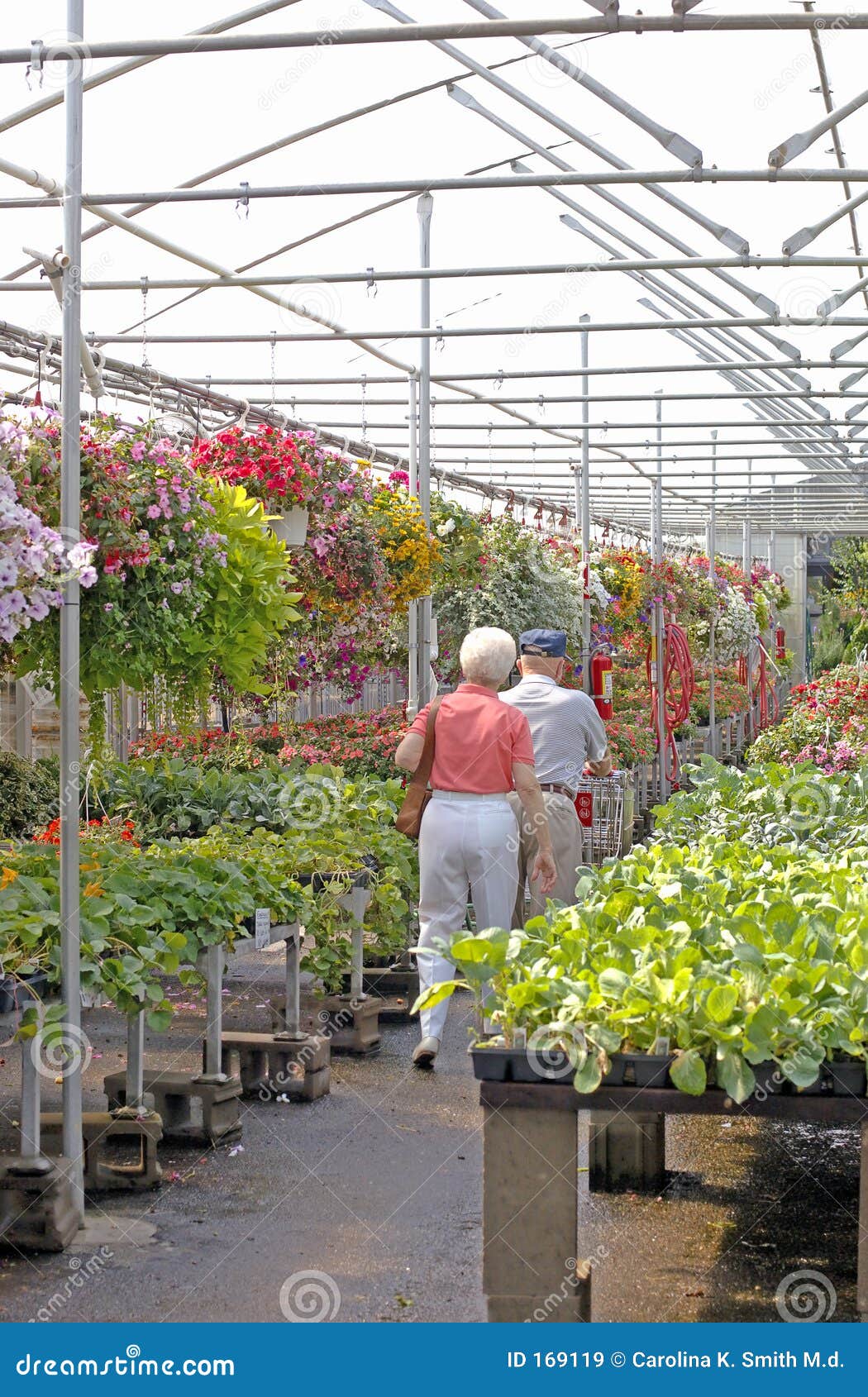 Elderly CoupleGreenhouse stock image. Image of citizens 169119