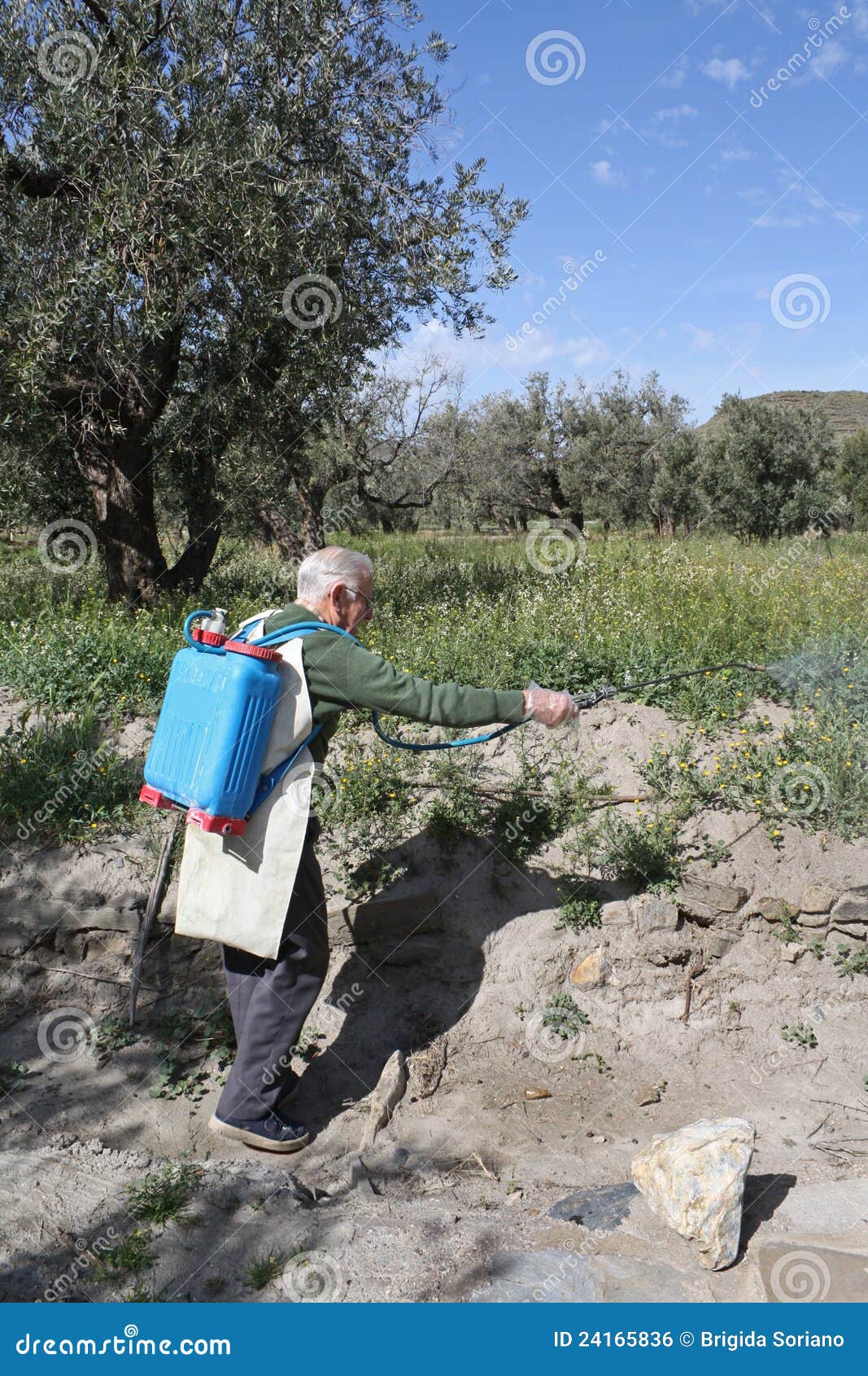 elderly farmer spraying weed pesticide