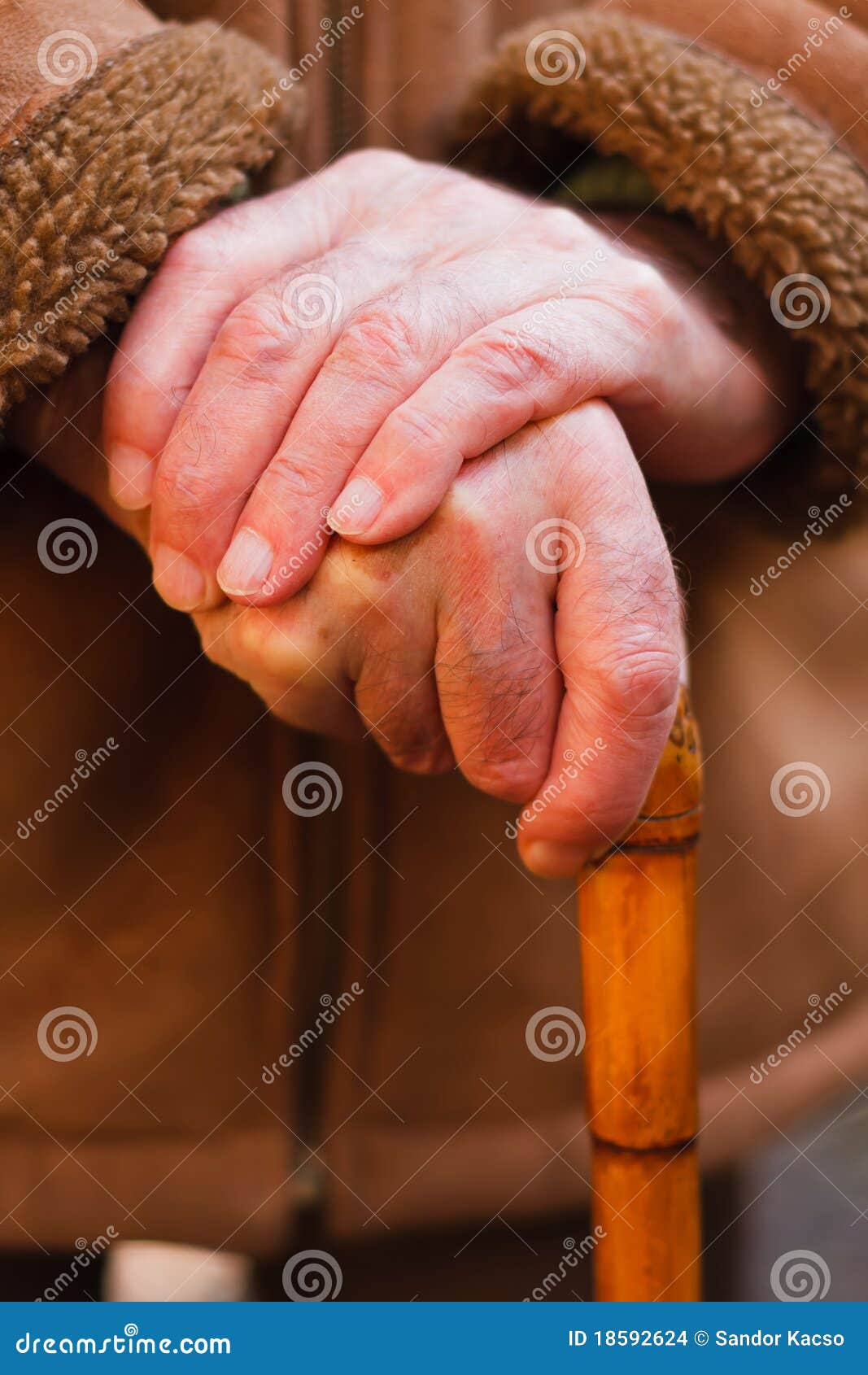 Elderly Hands Resting On Walking Stick Stock Photo - Image of staff