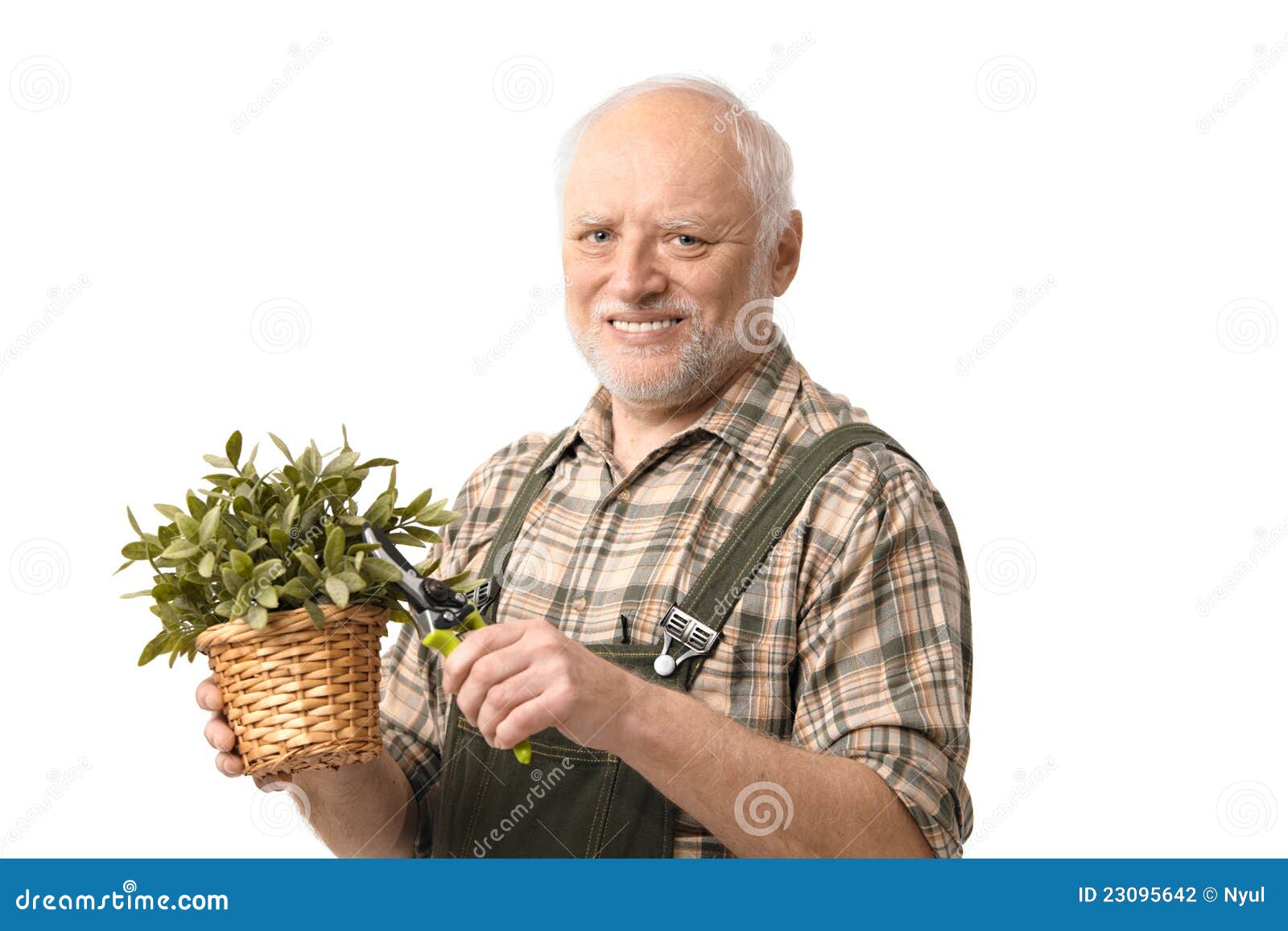 elderly hobby gardener with clippers