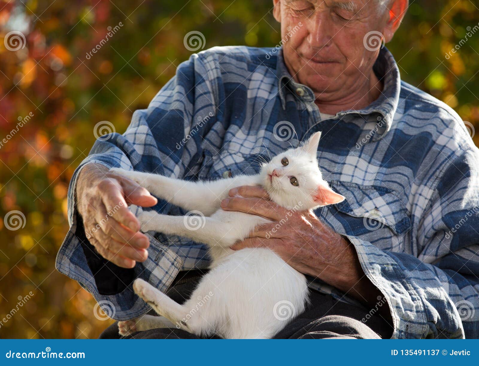 Elderly man with cat stock image. Image of mature, playing 135491137