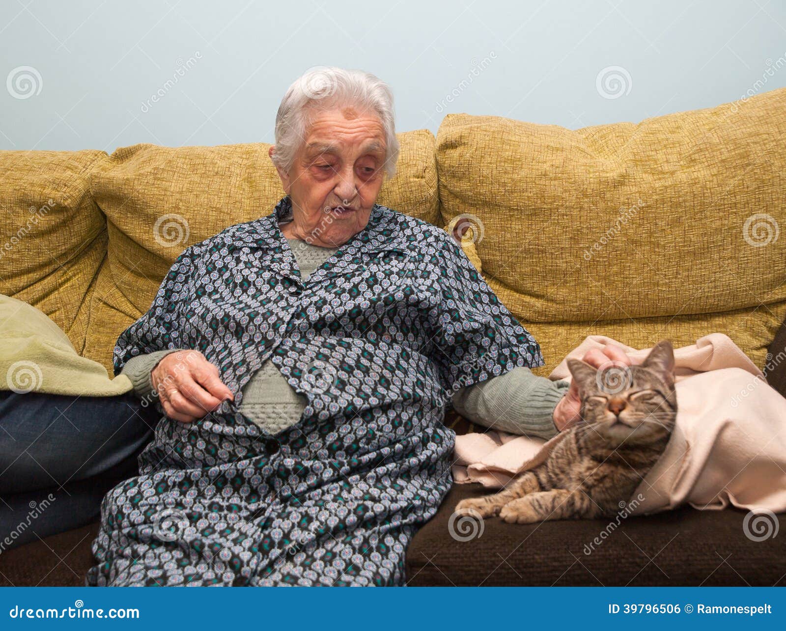 Elderly Woman Stroking Her Cat Stock Photo Image of cats, caress