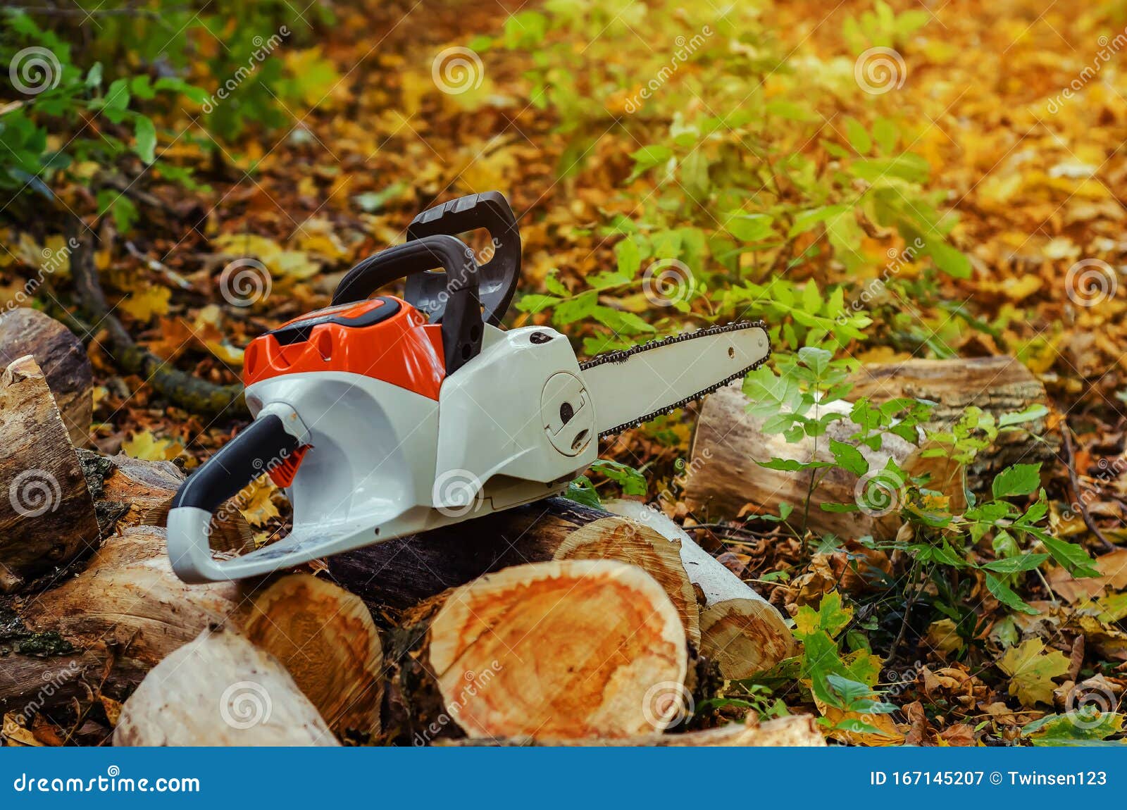 Electric Chain Saw in the Forest Lies on Cut Logs Stock Image Image