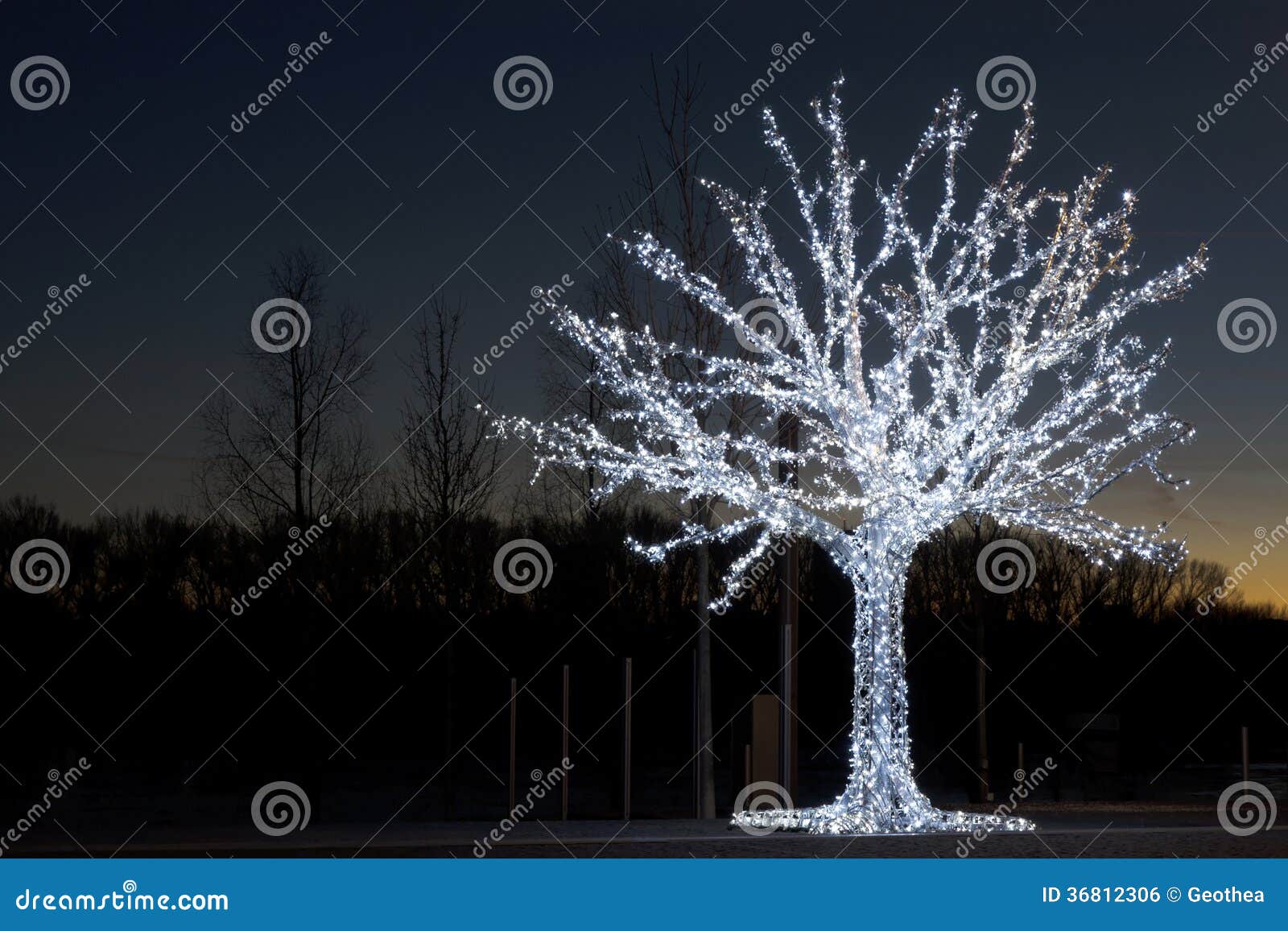 The Electric Christmas Tree Stock Photo Image of ashore, design 36812306