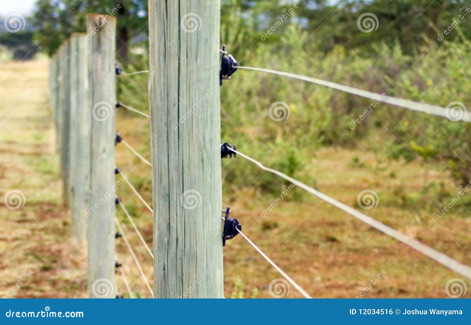 Electric Fence Stock Photo Image Of Stake Farming Livestock