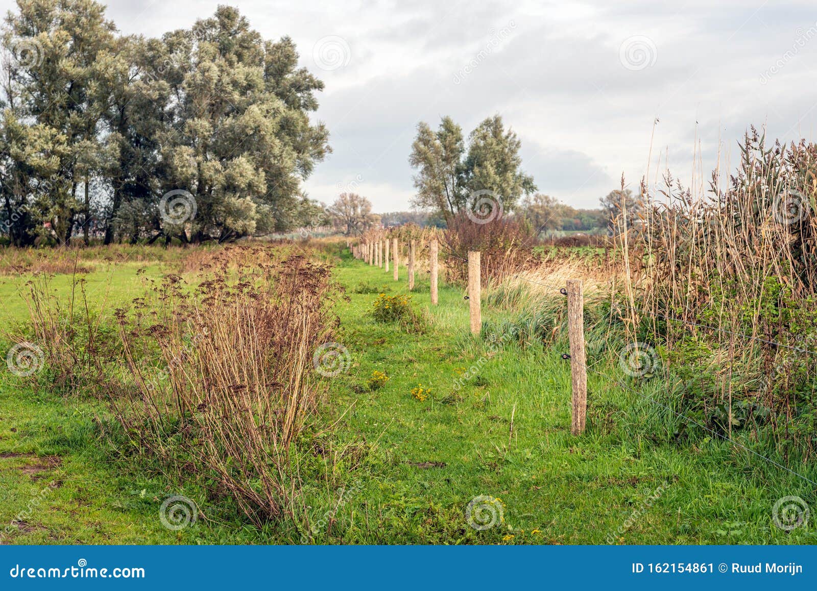 electric fence in a dutch nature reserve