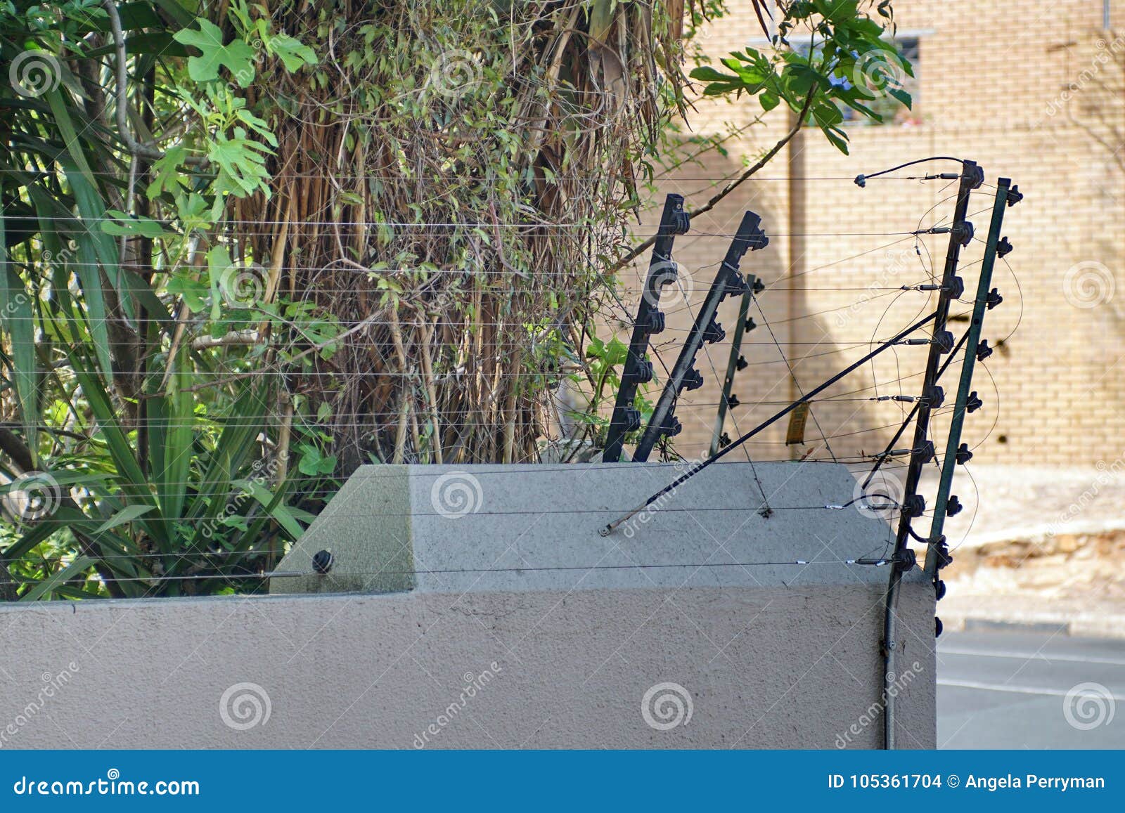 Electric Fence On A Wall Stock Photo Image Of Garden 105361704