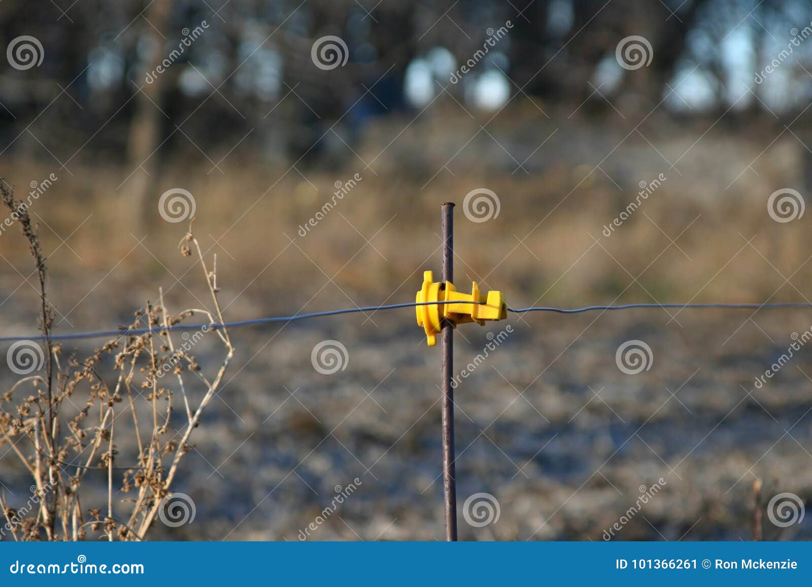 Hot Wire stock image. Image of electric, fence, corn 101366261