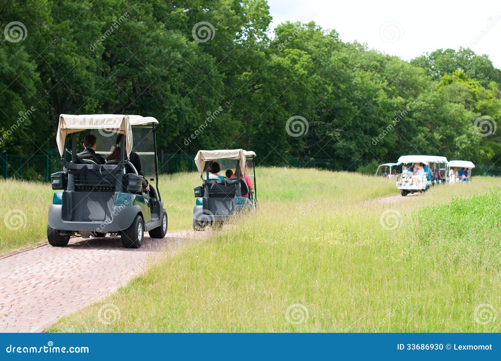 fairway golf buggy