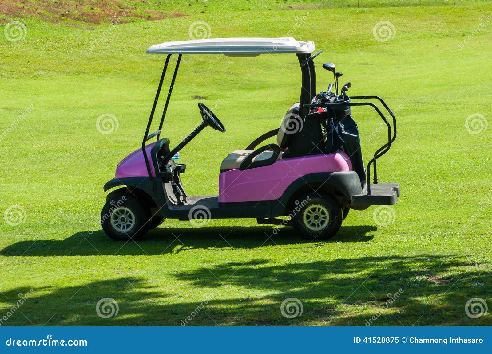 fairway golf buggy