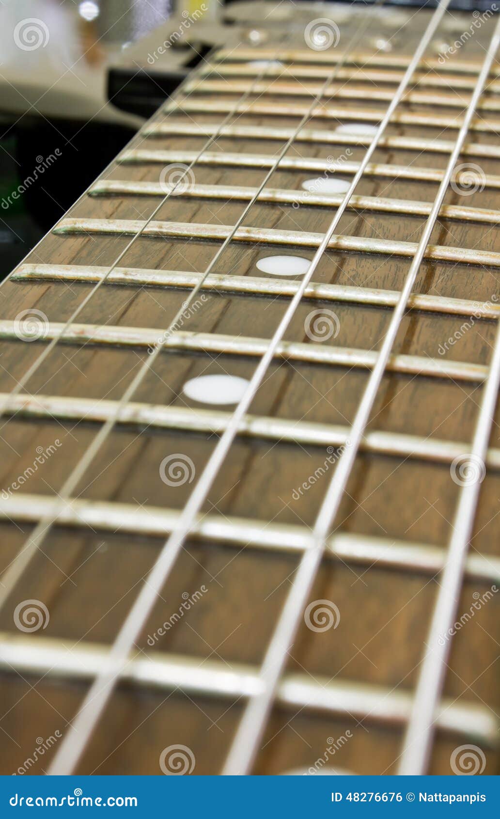 Electric Guitar Fretboard stock photo. Image of flooring 48276676