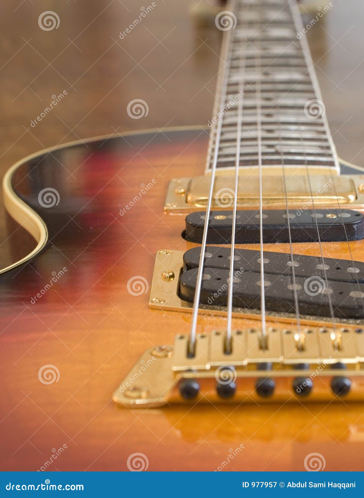 Electric Guitar Pickups (1269) Stock Image Image of pickups, pickup