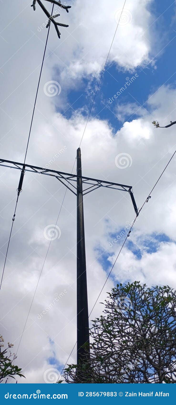 Electric Pole in the Middle of the Japanese Bali Tree Garden Stock Image Image of middle