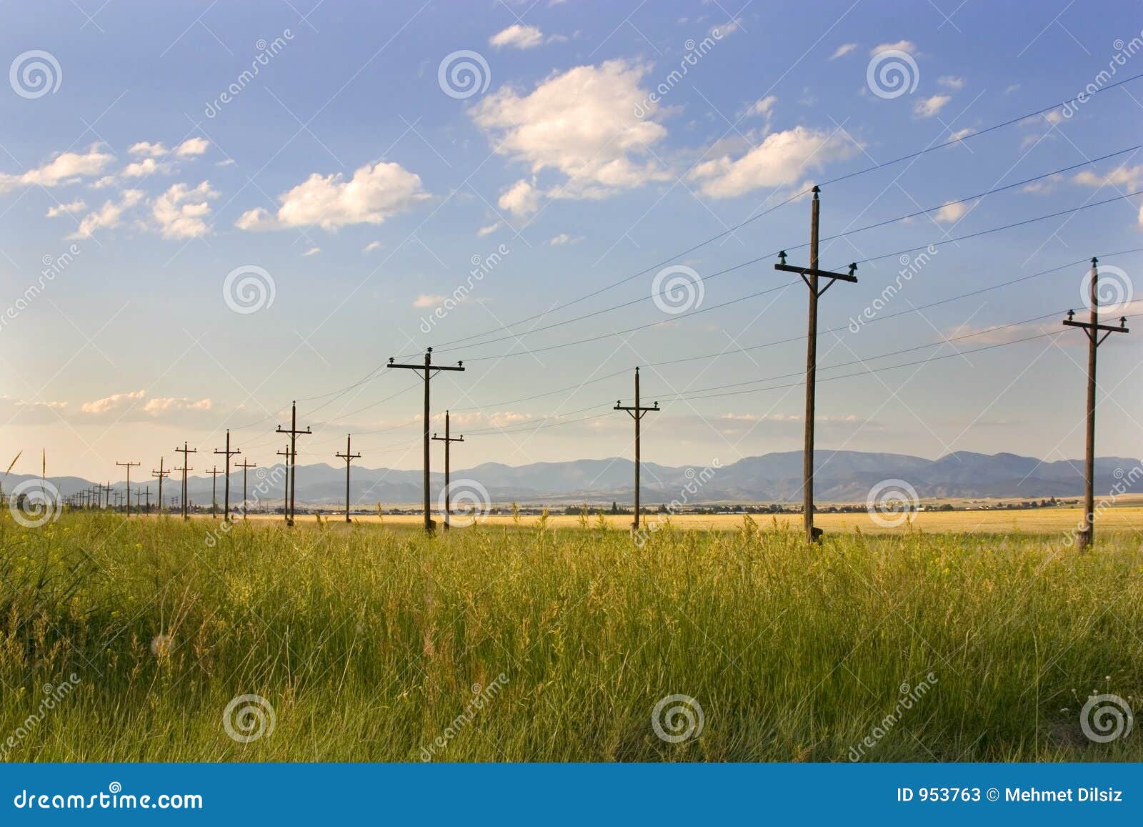 electric posts in a field - helena