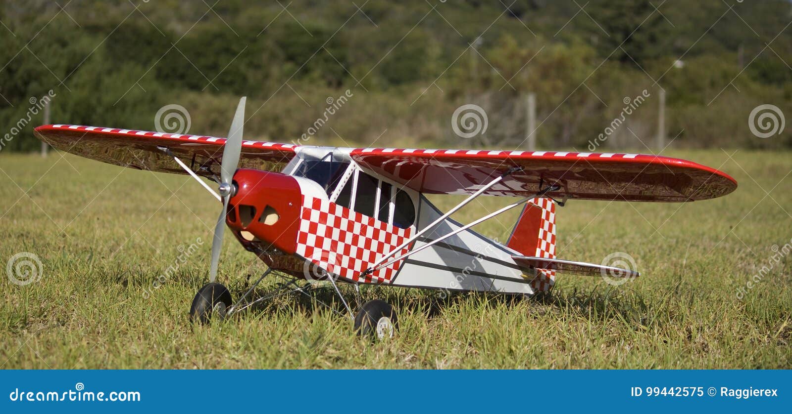 Electric rc aircraft sale