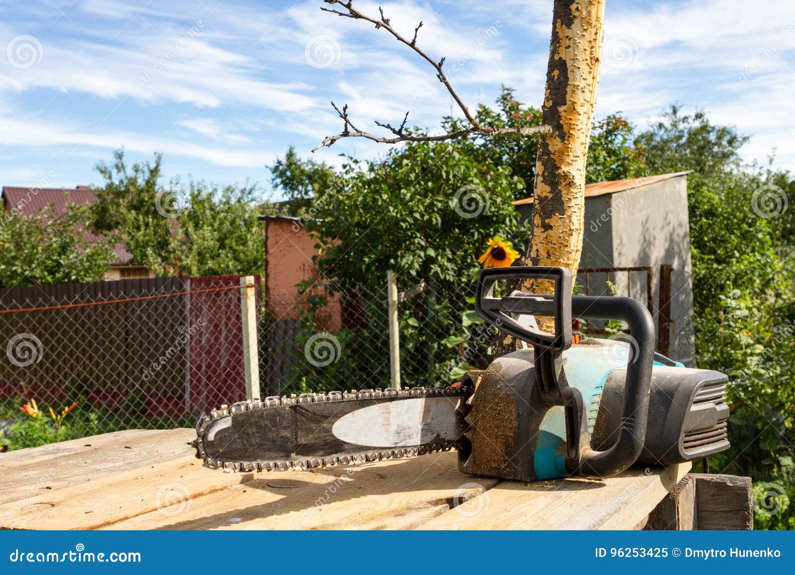 Electric Saw in the Garden. Stock Image Image of grass, rural 96253425
