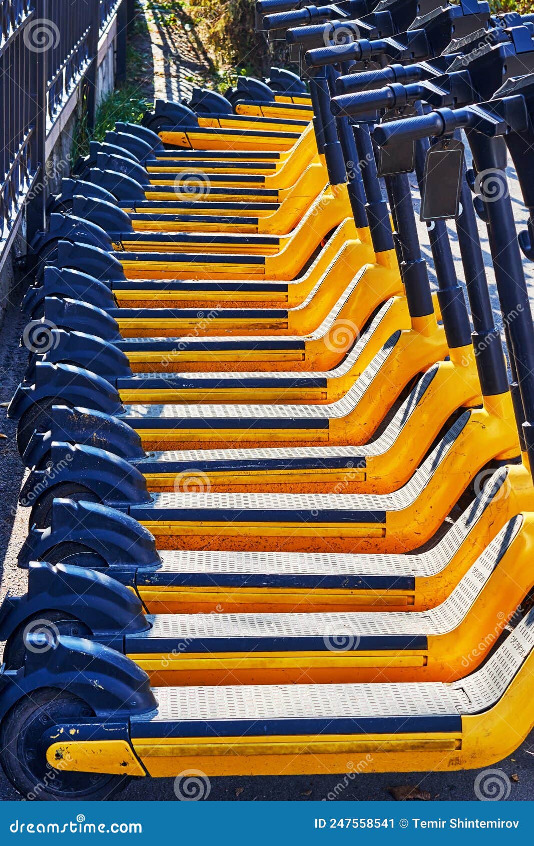 Electric Scooters for Rent on the Sidewalk Stock Image Image of drive