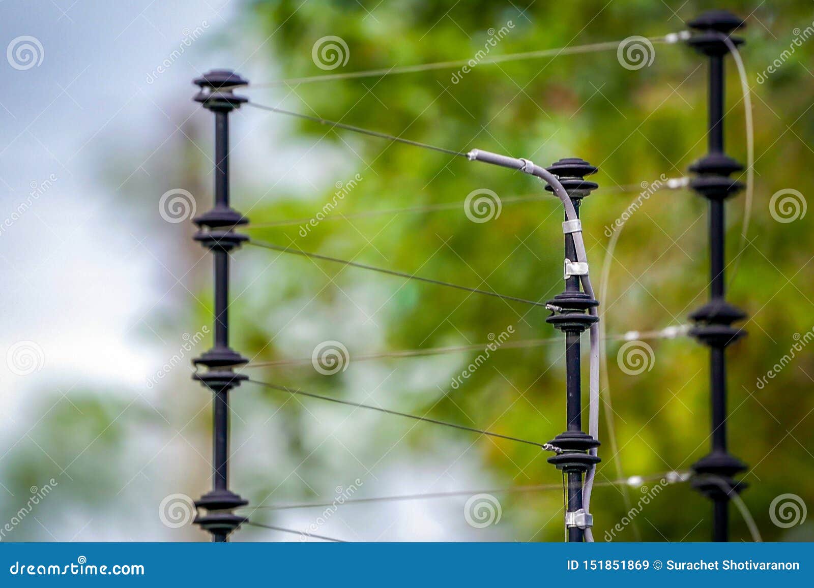 93 756 Blur Green Tree Background Photos Free Royalty Free Stock Photos From Dreamstime 626 x 399 jpeg 51 kb. https www dreamstime com electric shock cable pole blur green tree background image151851869